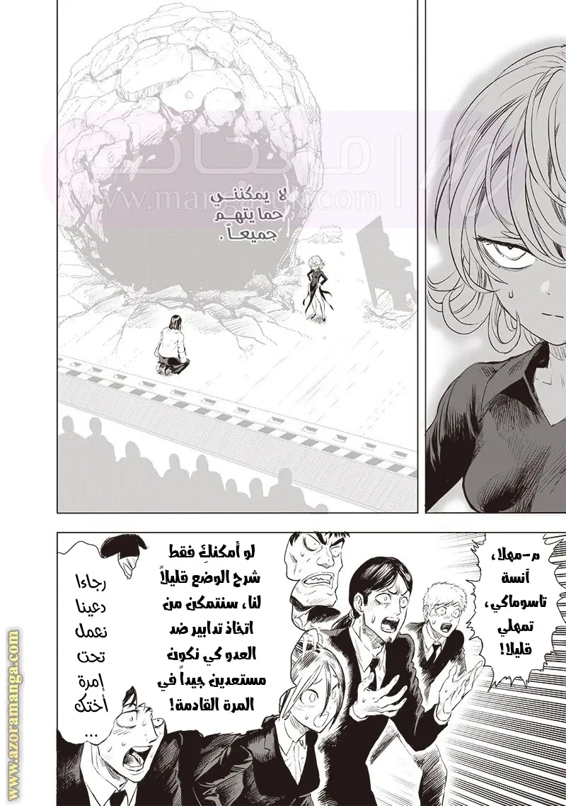 الصفحة 29