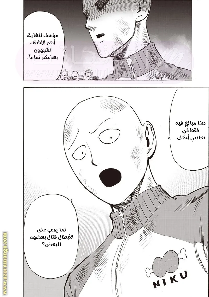 الصفحة 33