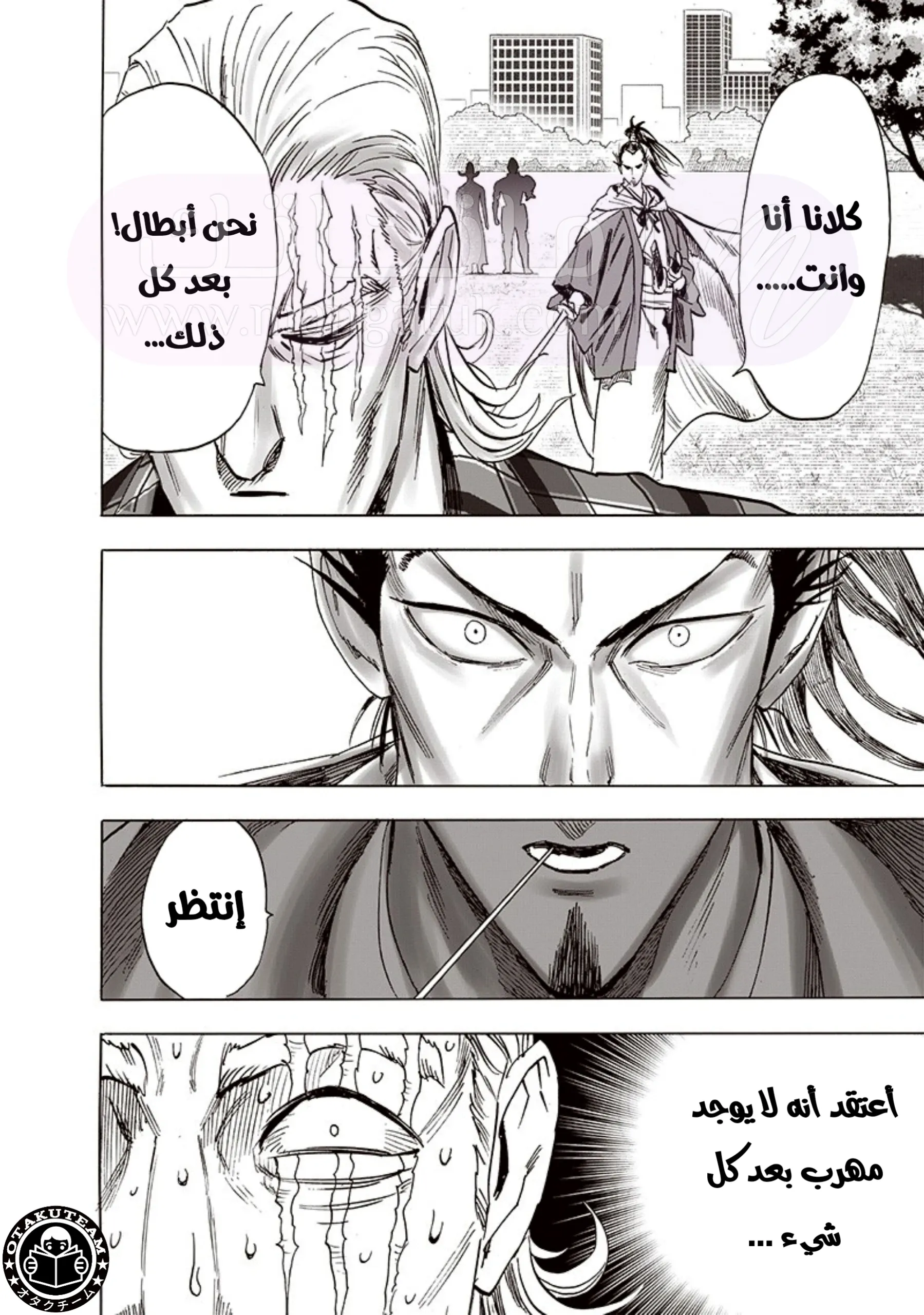 الصفحة 17