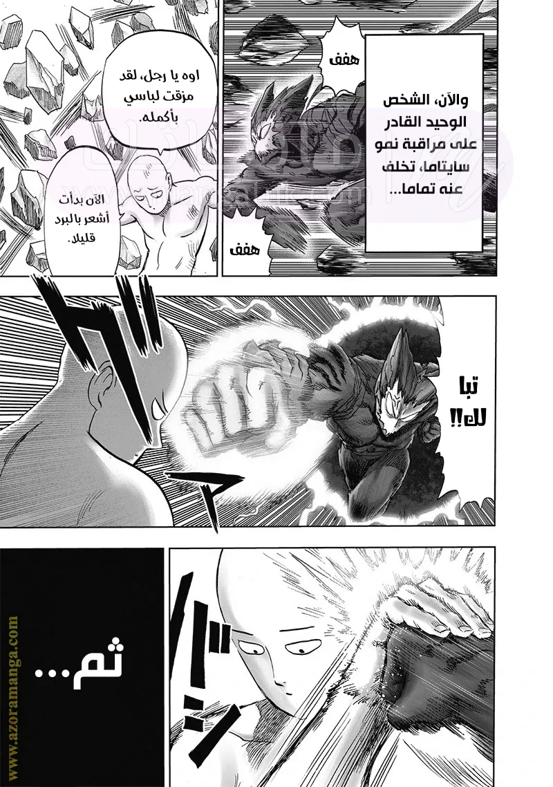 الصفحة 17