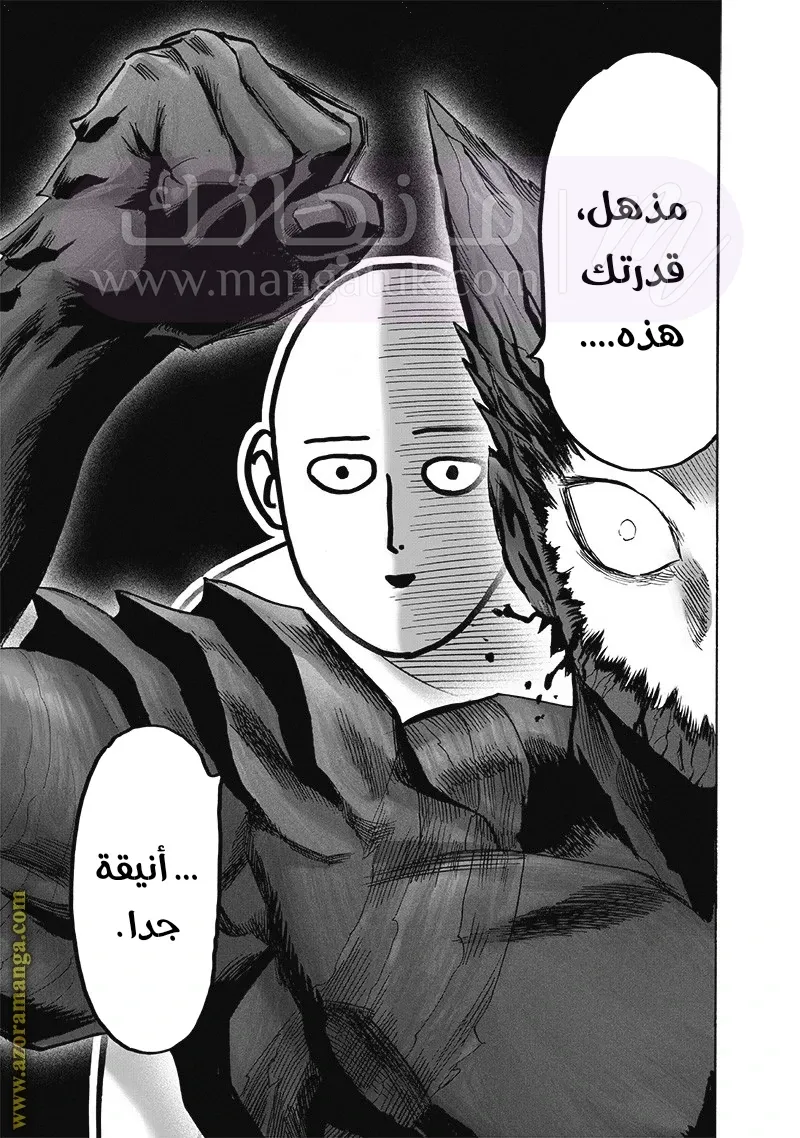الصفحة 30