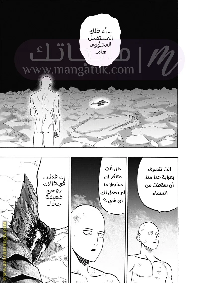 الصفحة 42