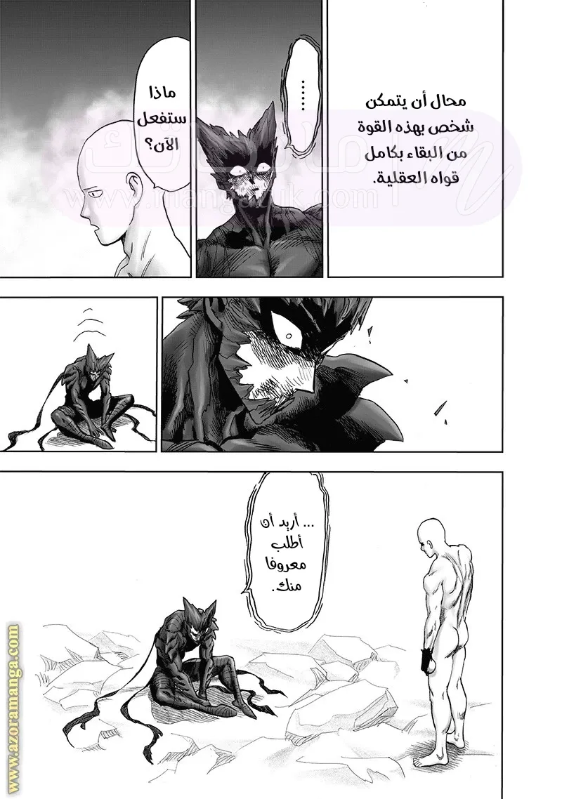 الصفحة 46
