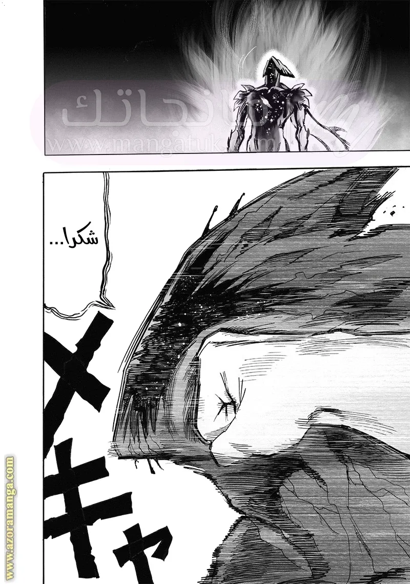 الصفحة 61