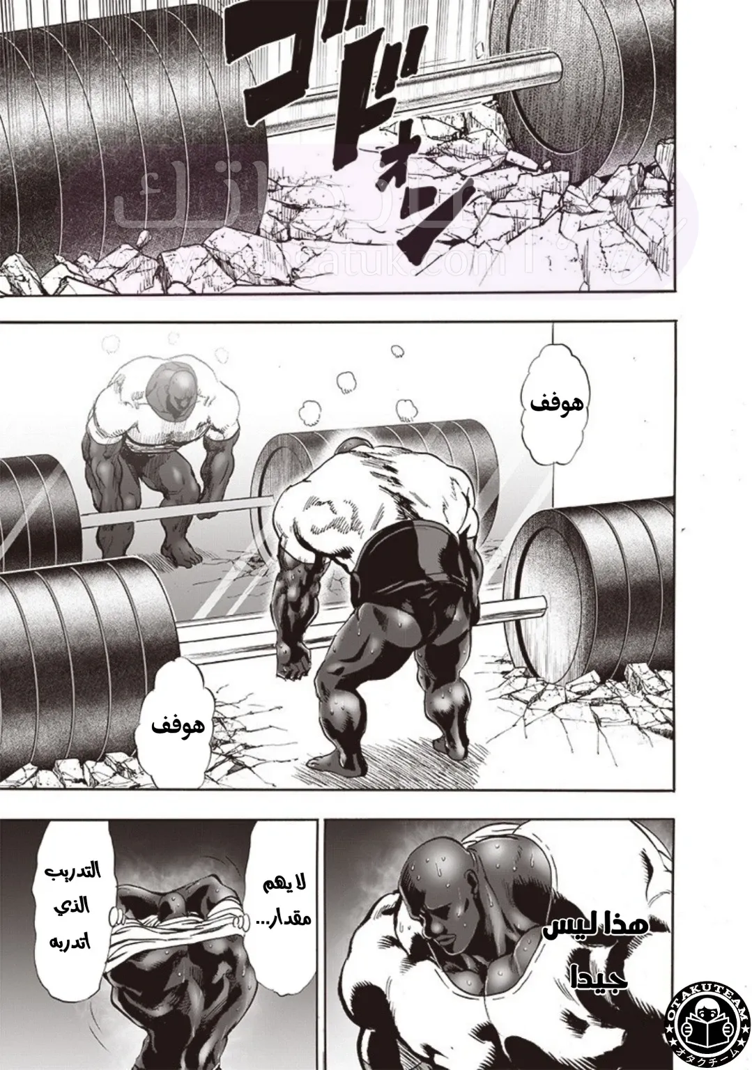 الصفحة 14