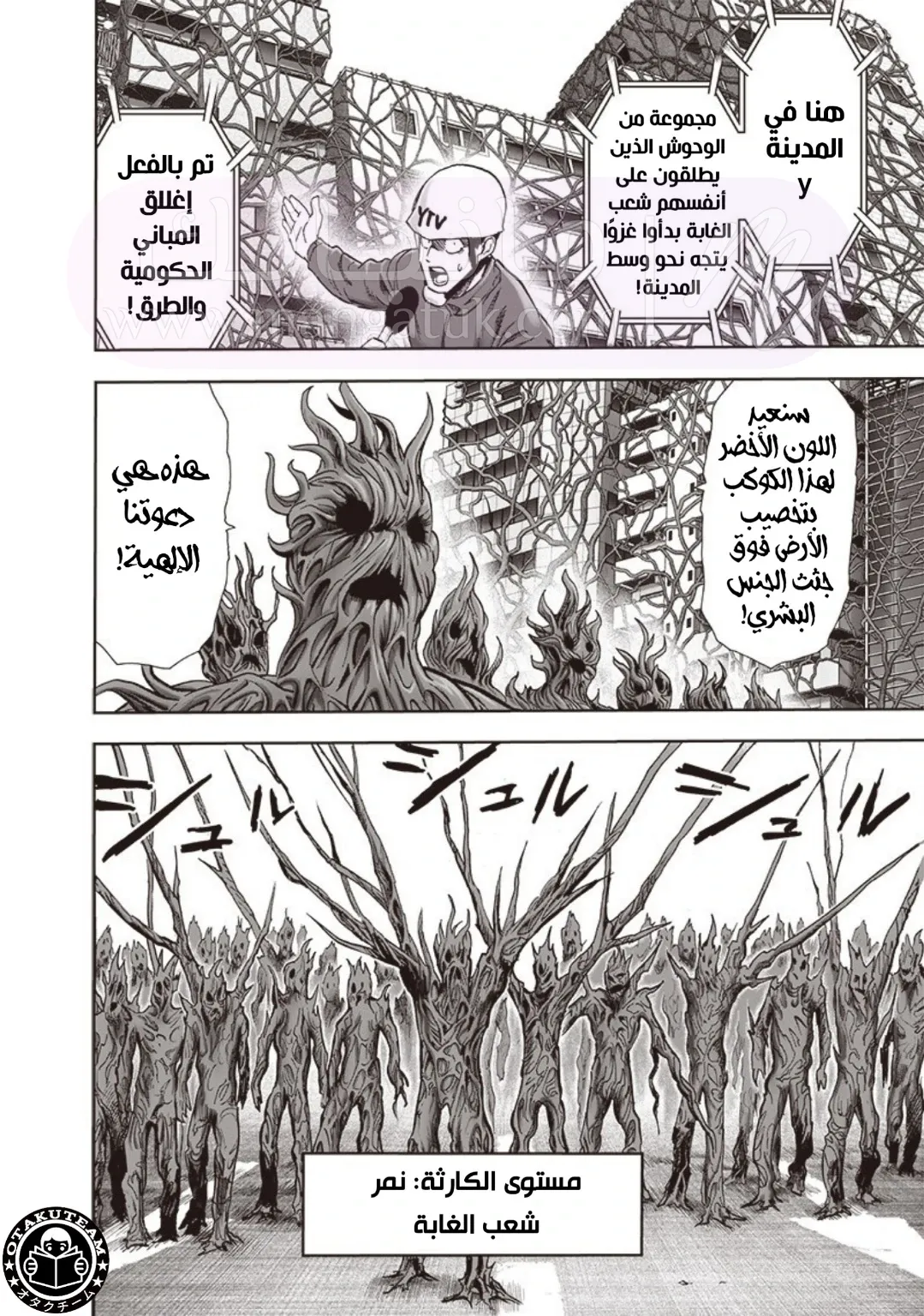 الصفحة 17