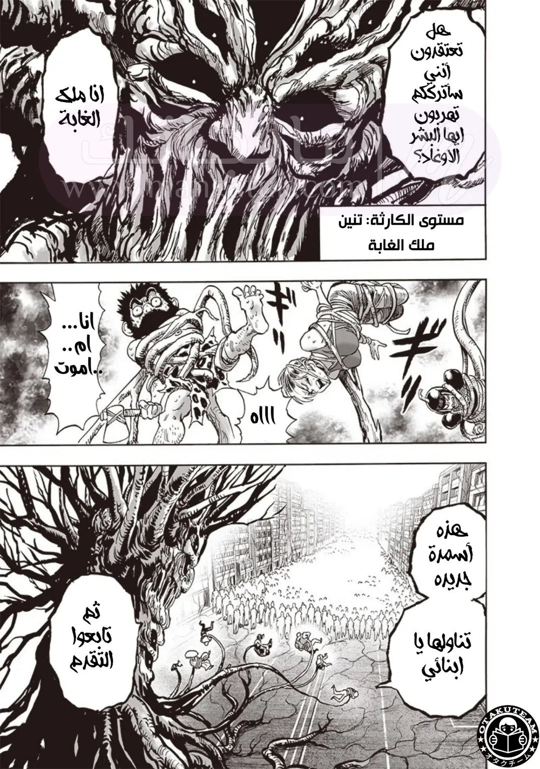 الصفحة 24