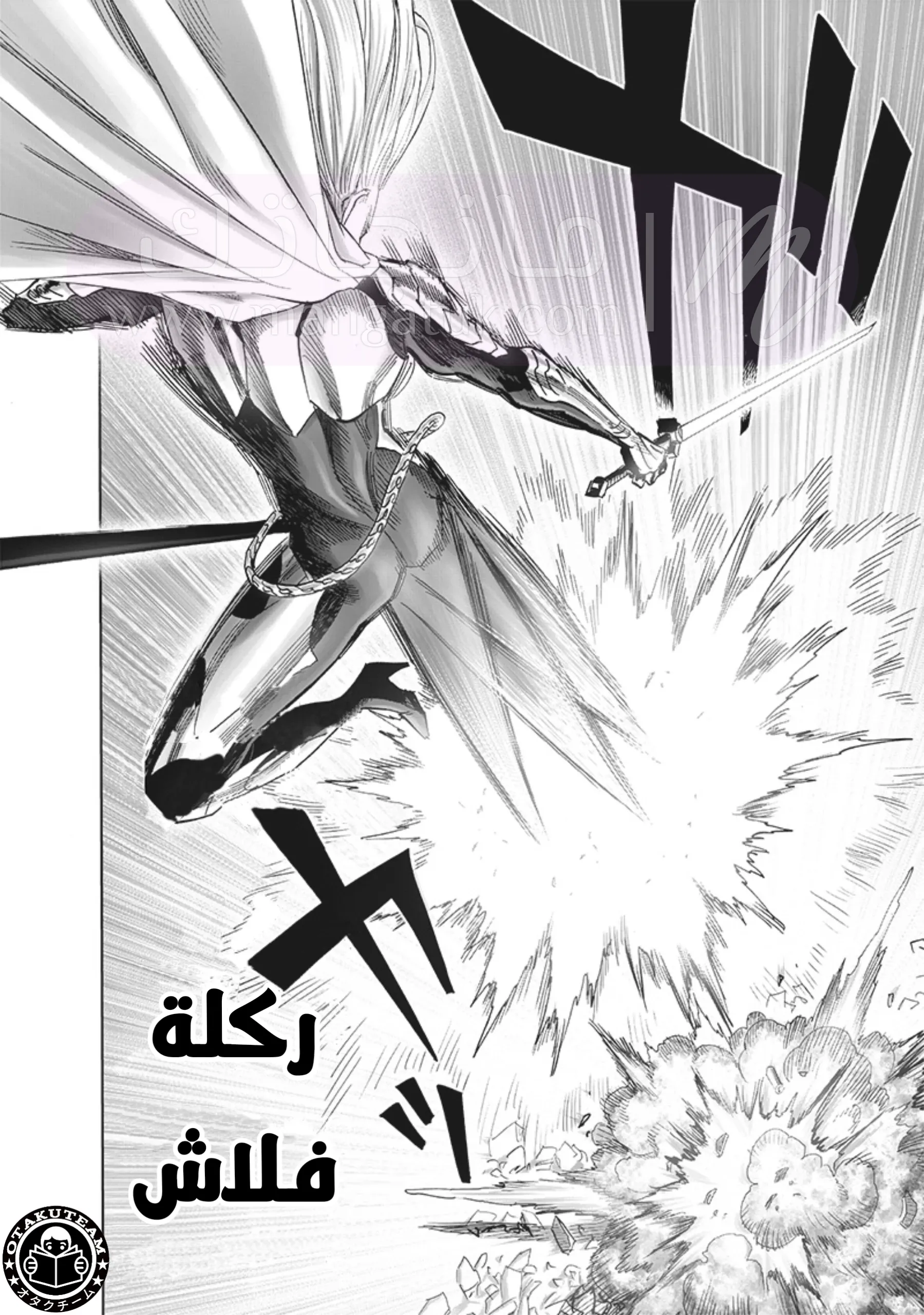 الصفحة 13