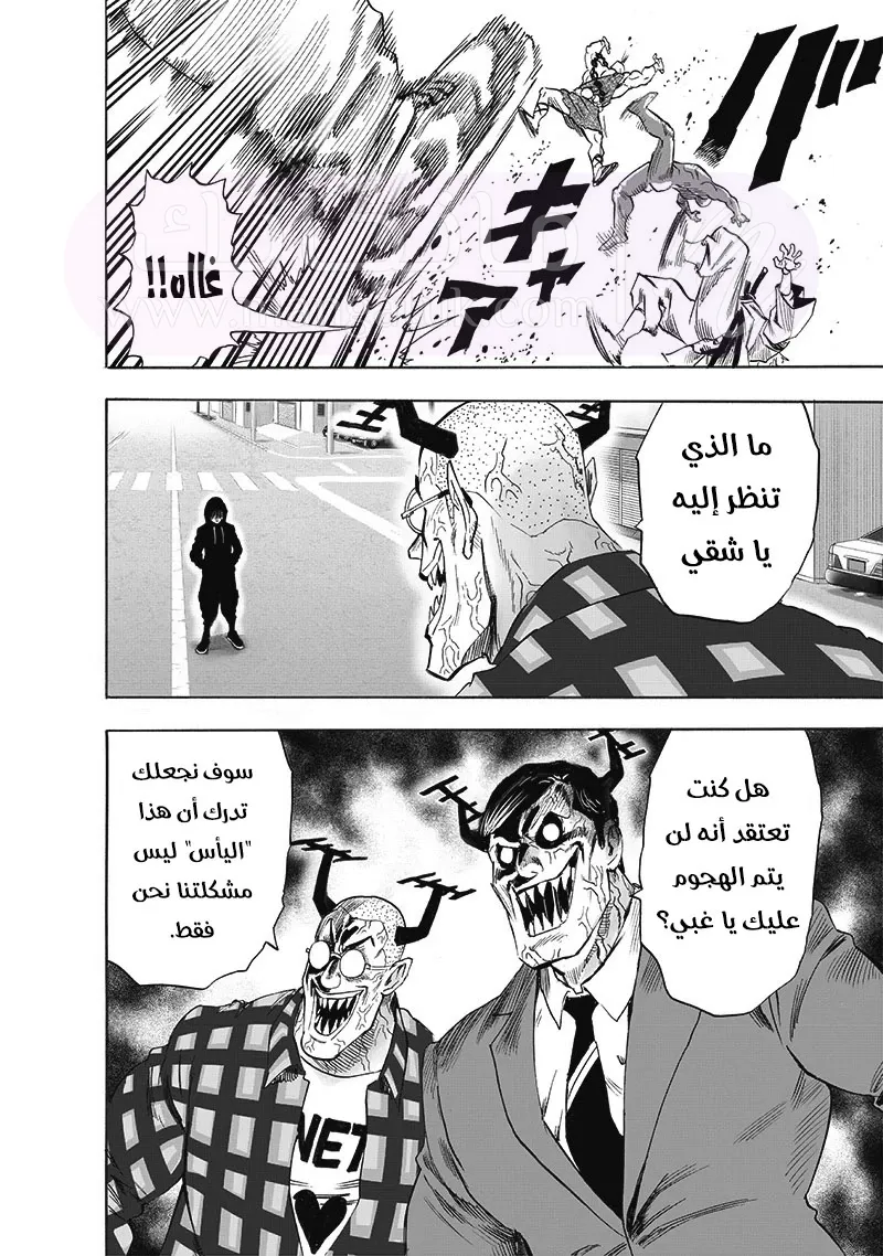 الصفحة 17