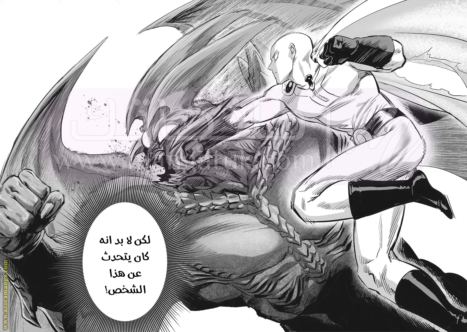 الصفحة 29