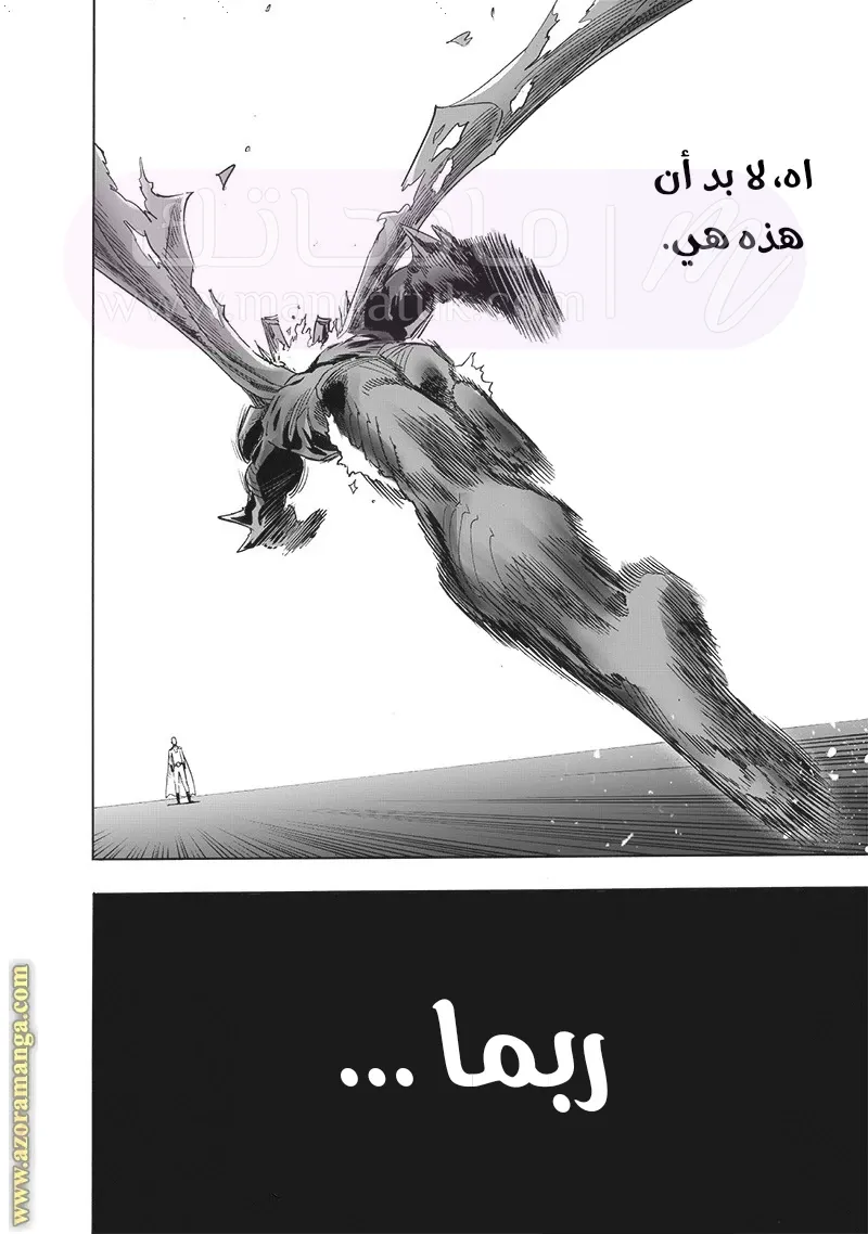 الصفحة 36