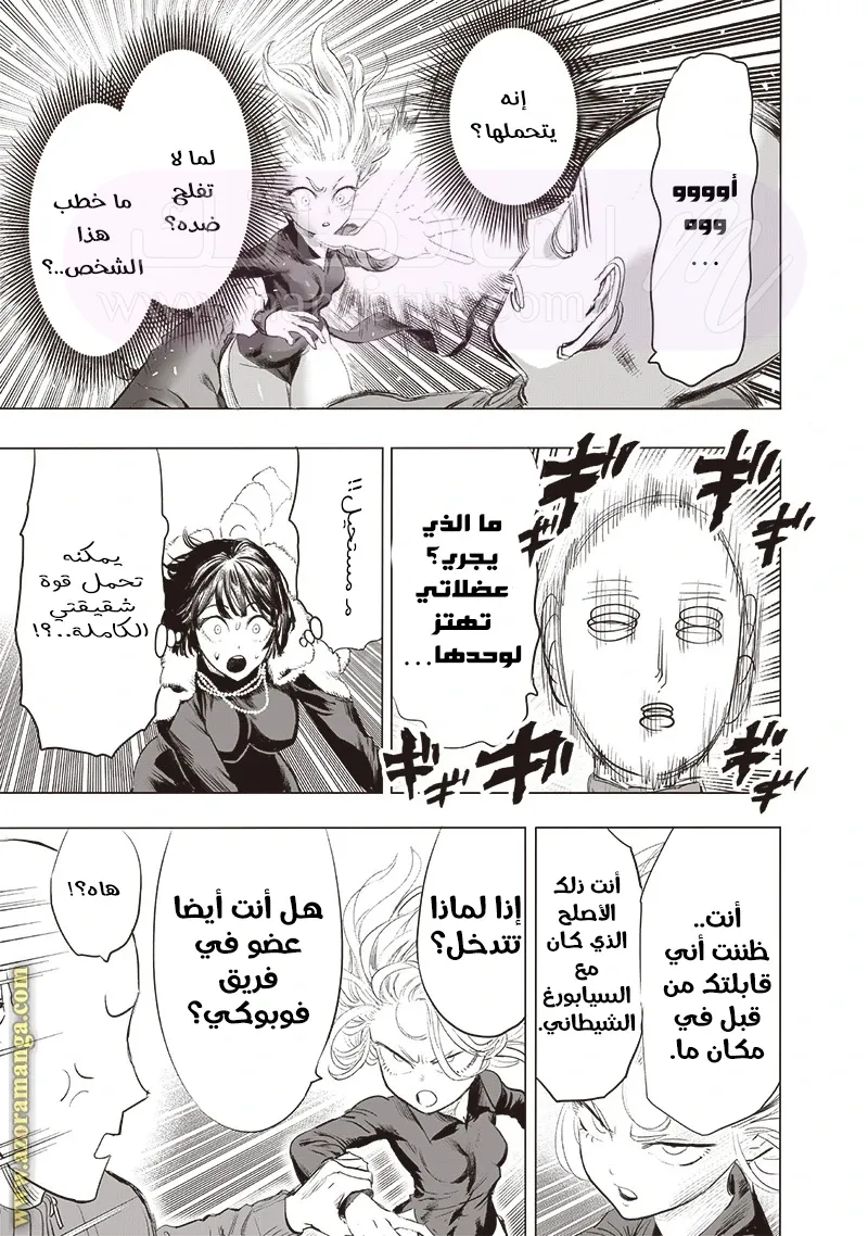 الصفحة 13