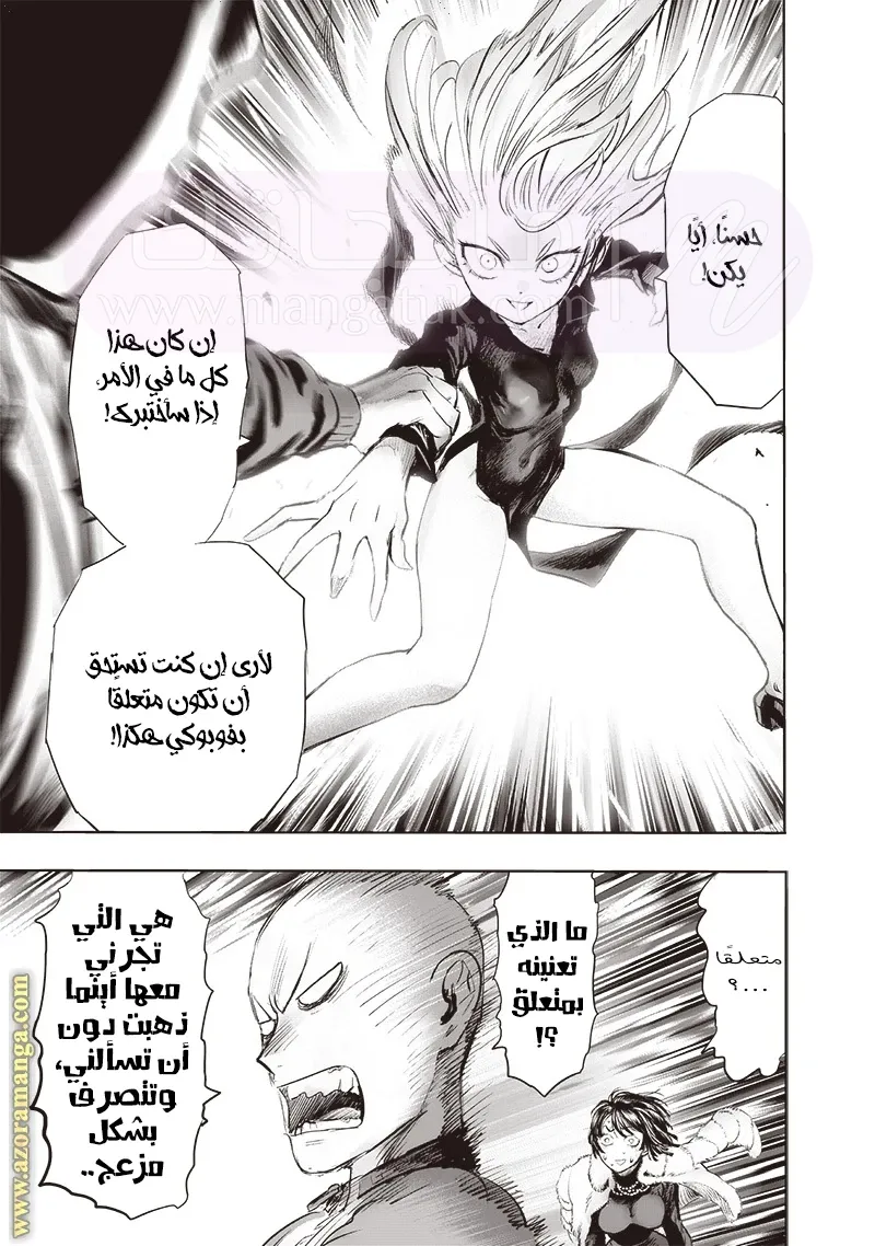 الصفحة 17