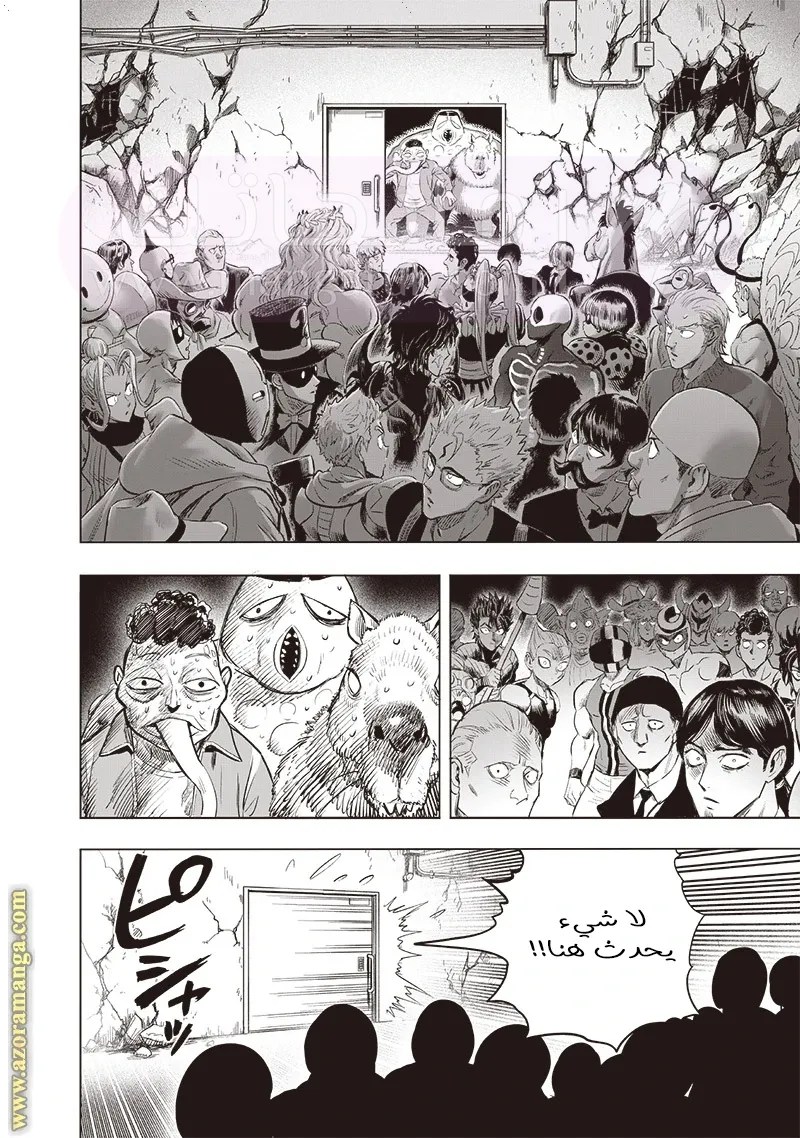 الصفحة 27