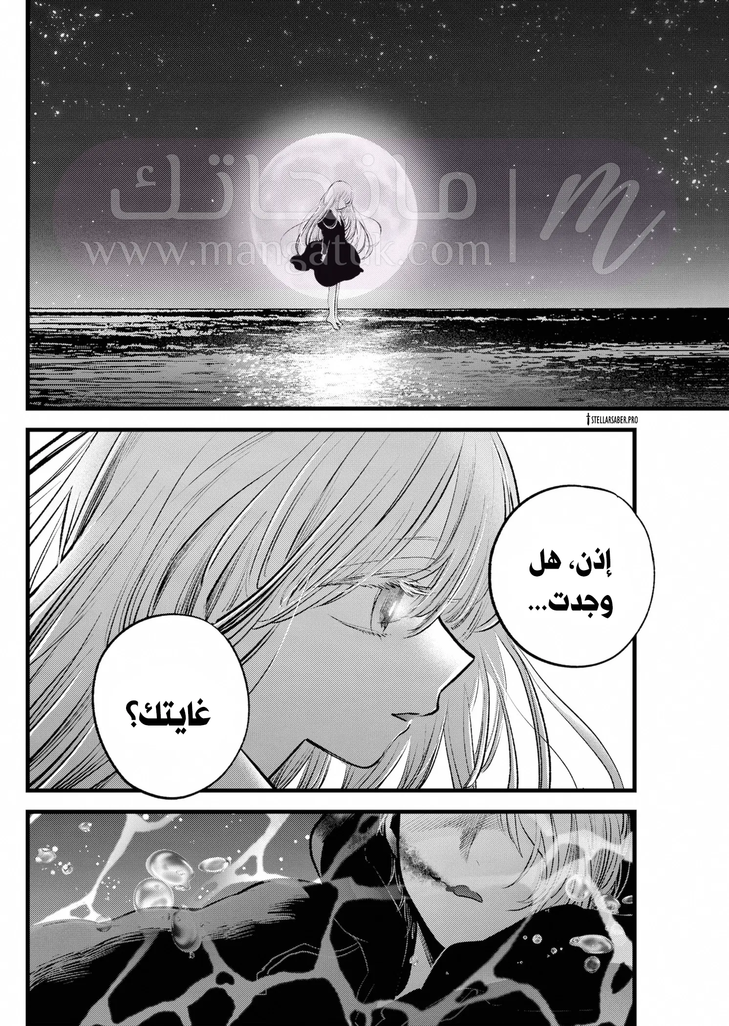 الصفحة 13