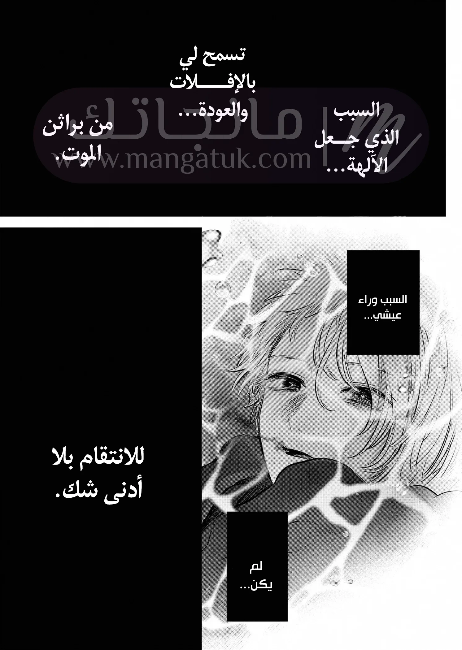 الصفحة 14