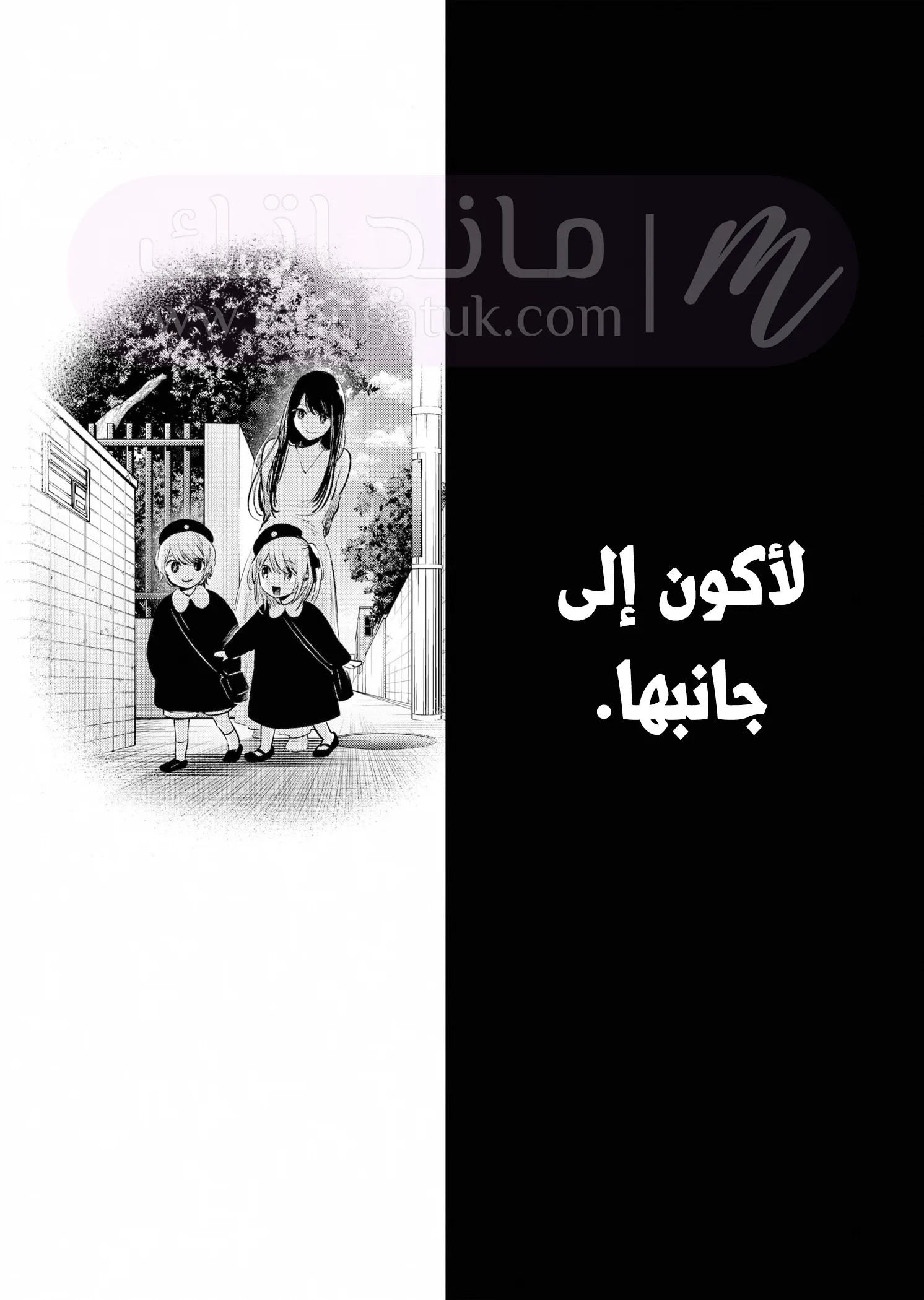 الصفحة 17