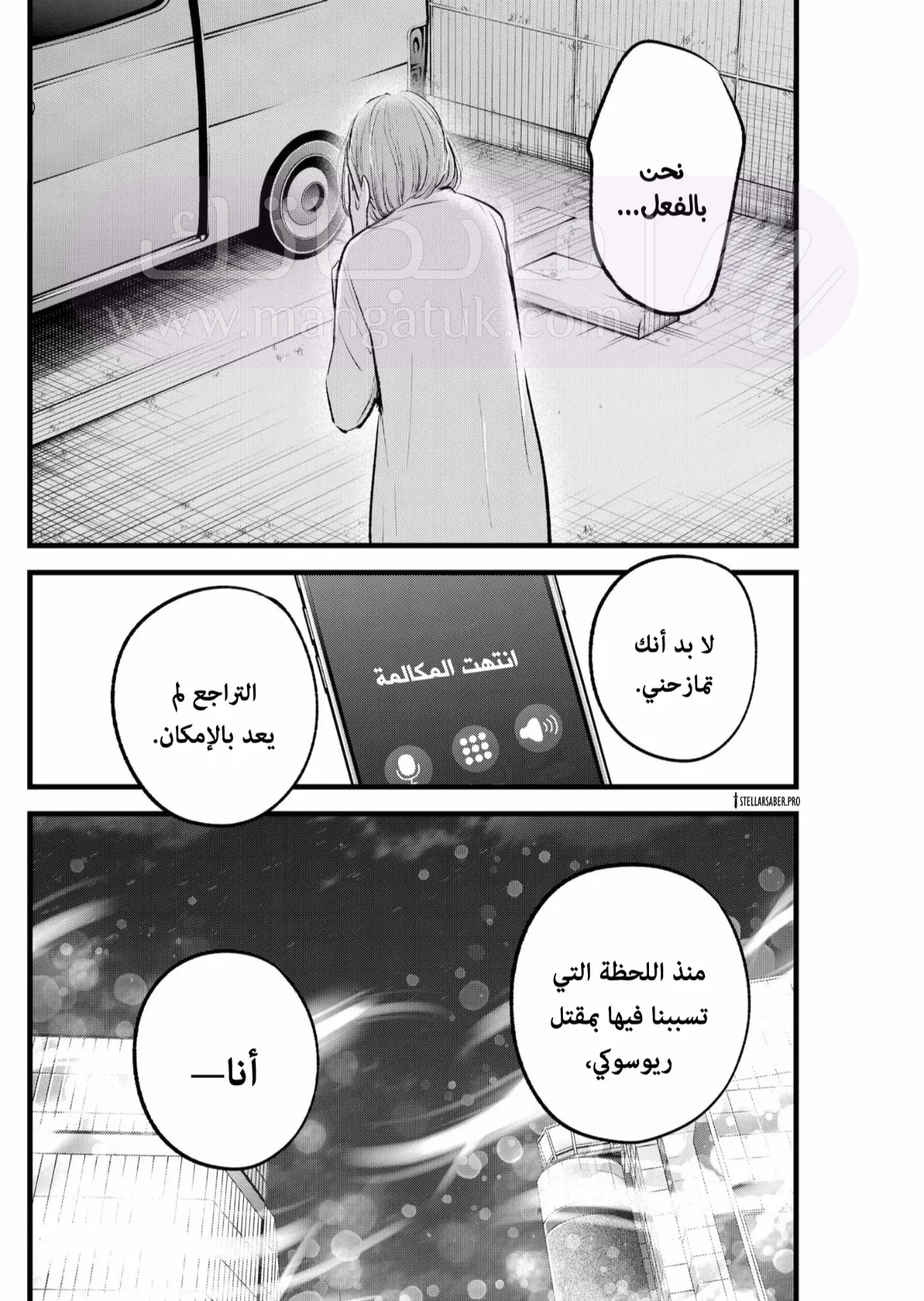 الصفحة 13