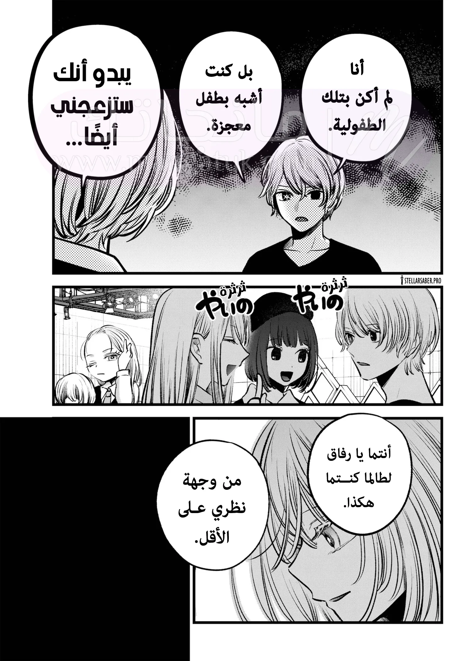 الصفحة 13