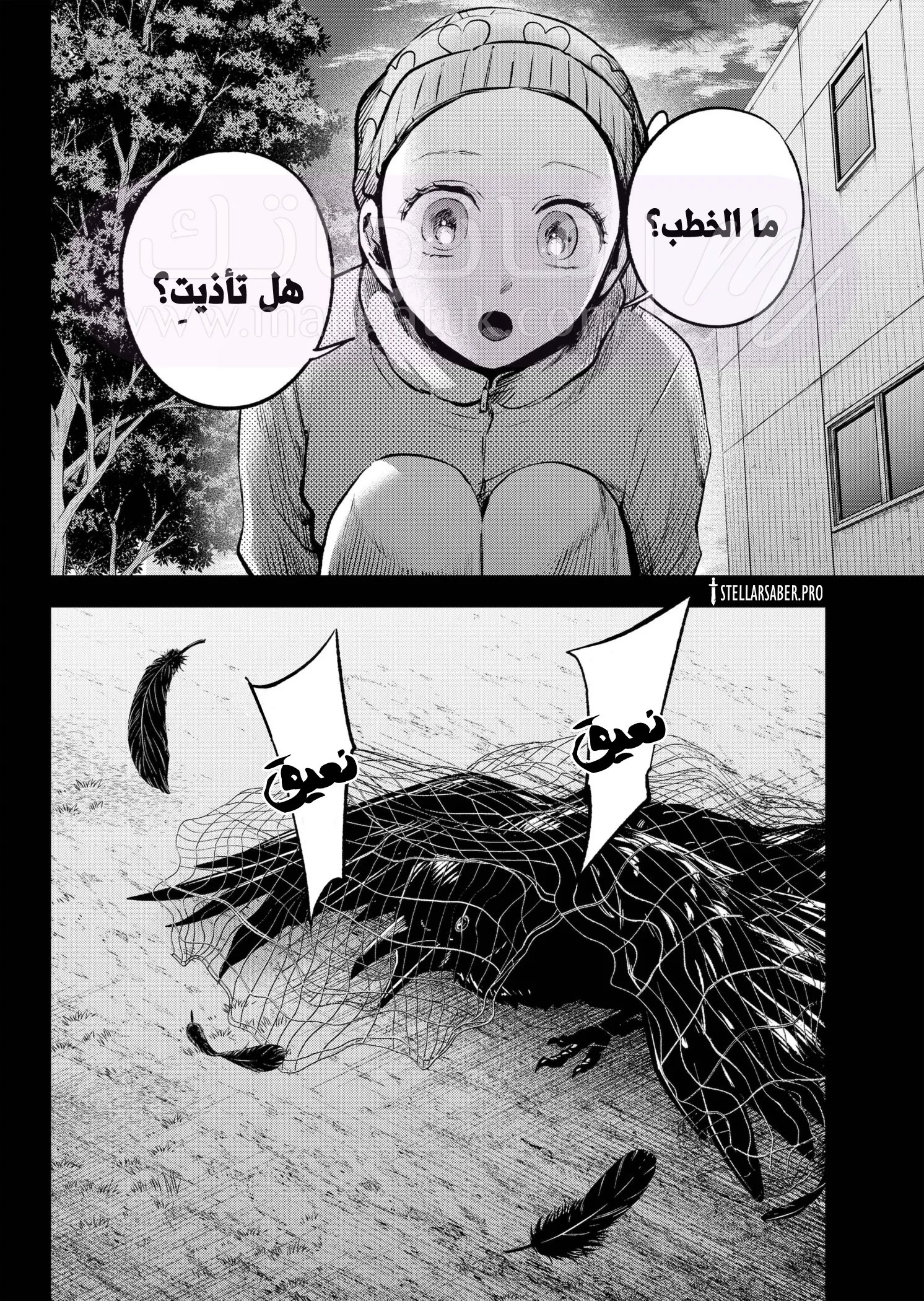 الصفحة 14
