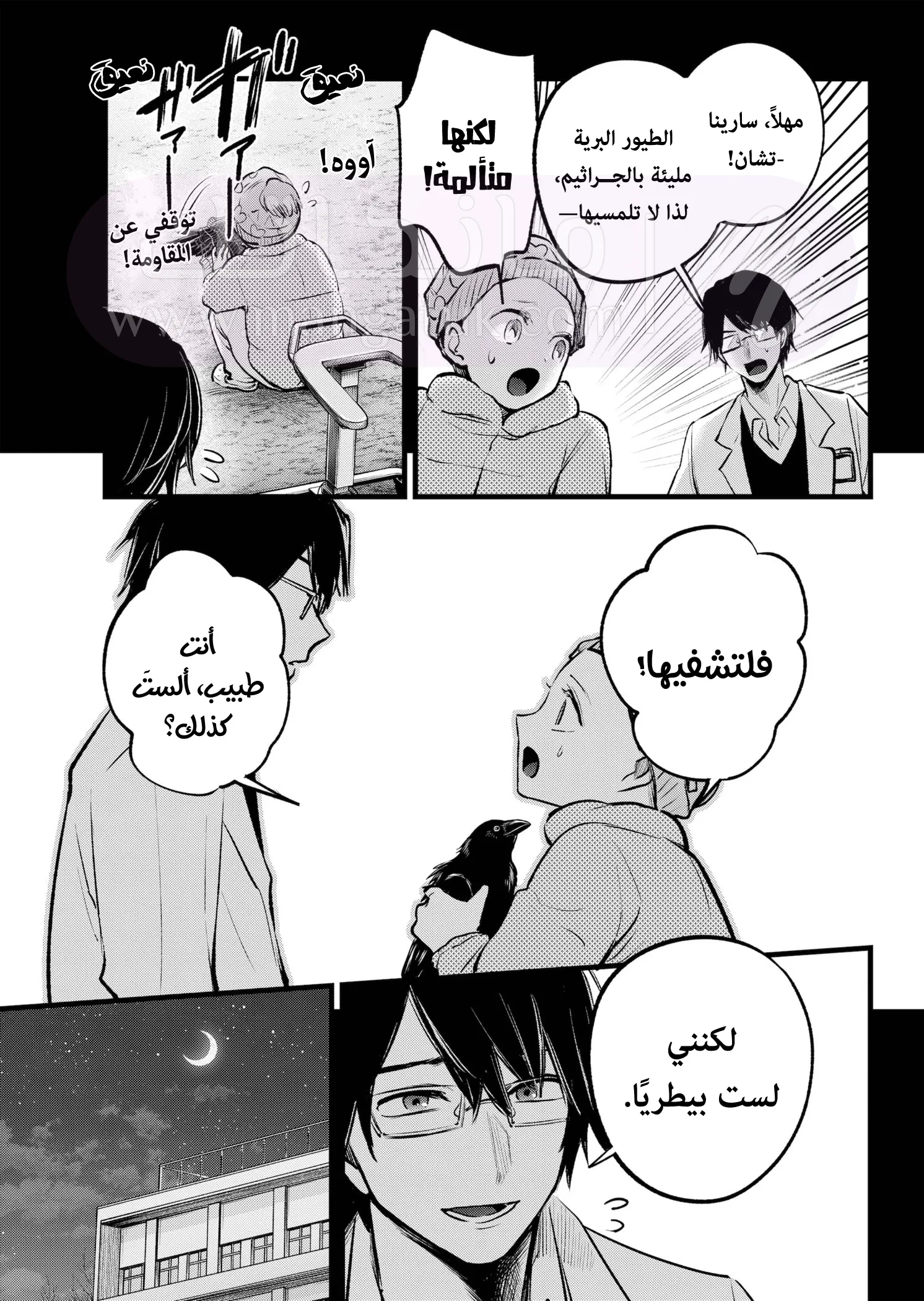 الصفحة 15