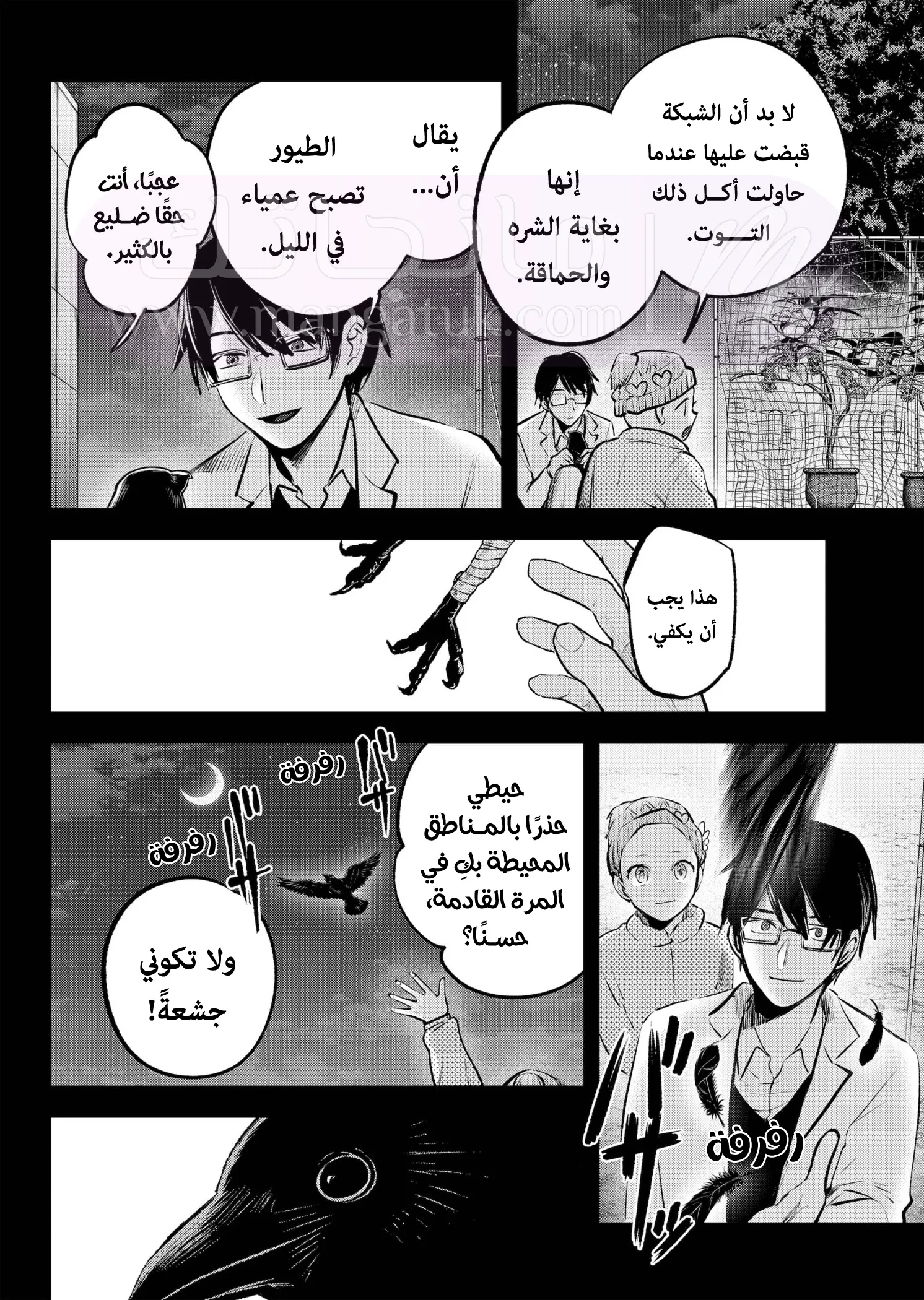 الصفحة 16