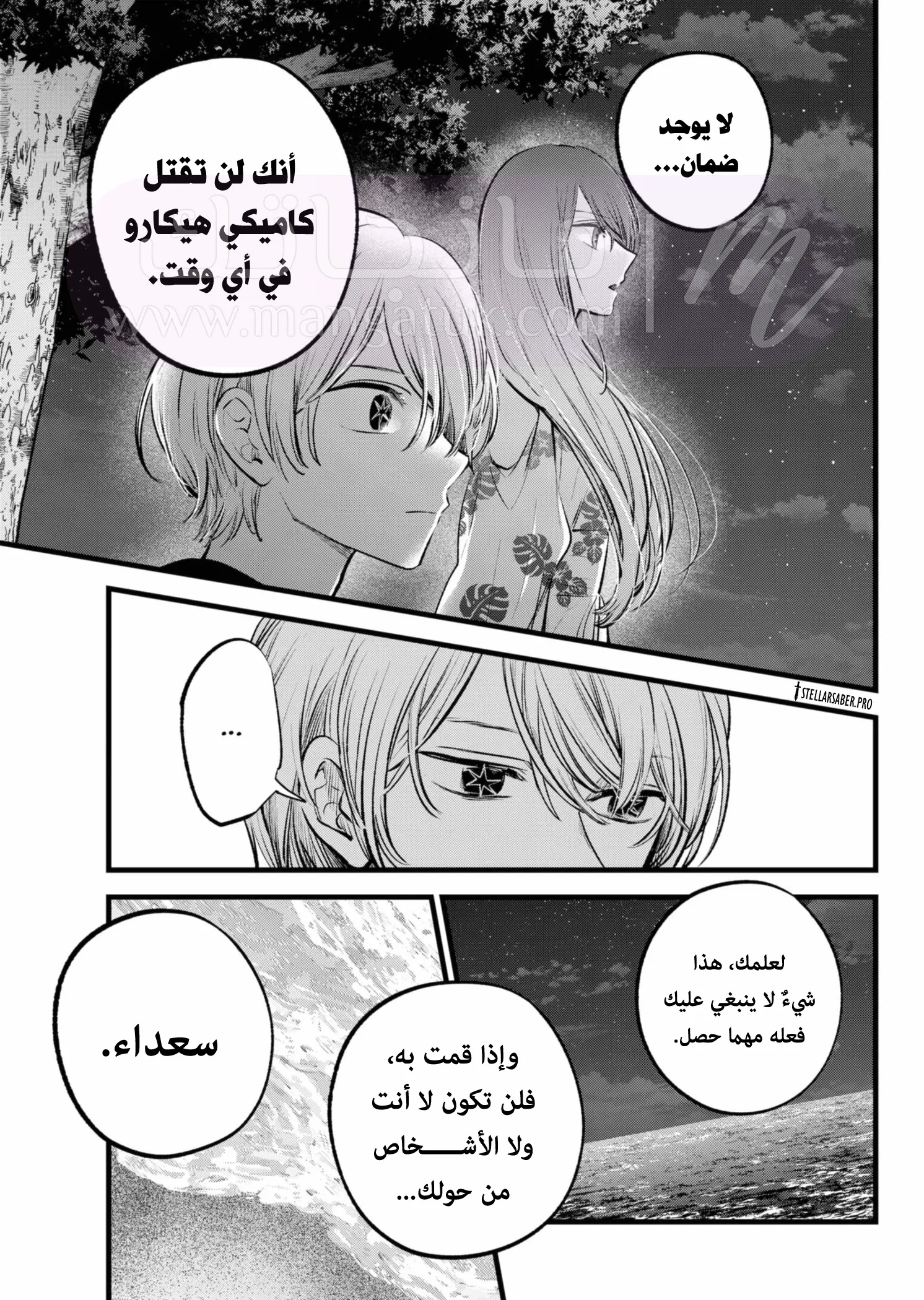 الصفحة 13
