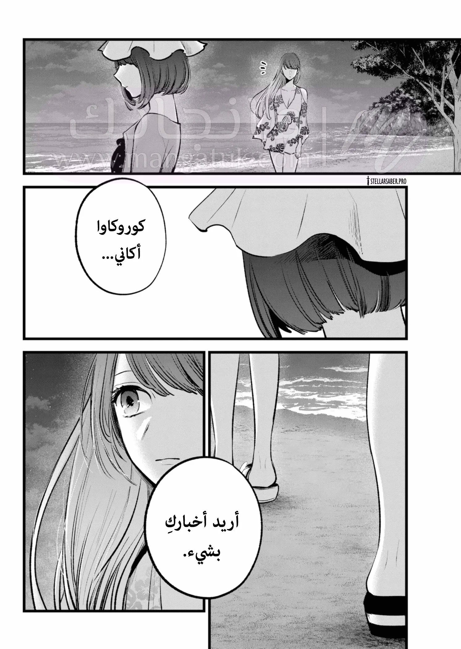 الصفحة 16