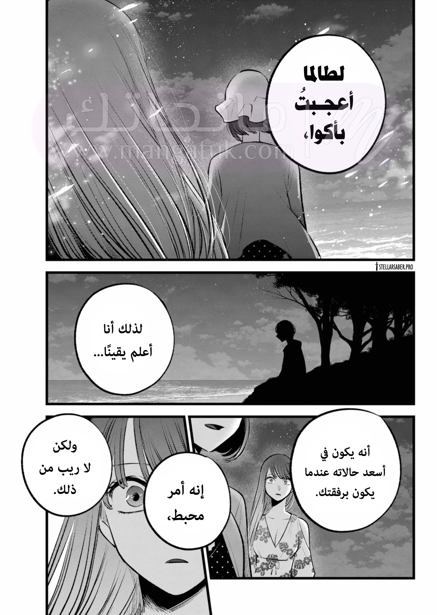الصفحة 17