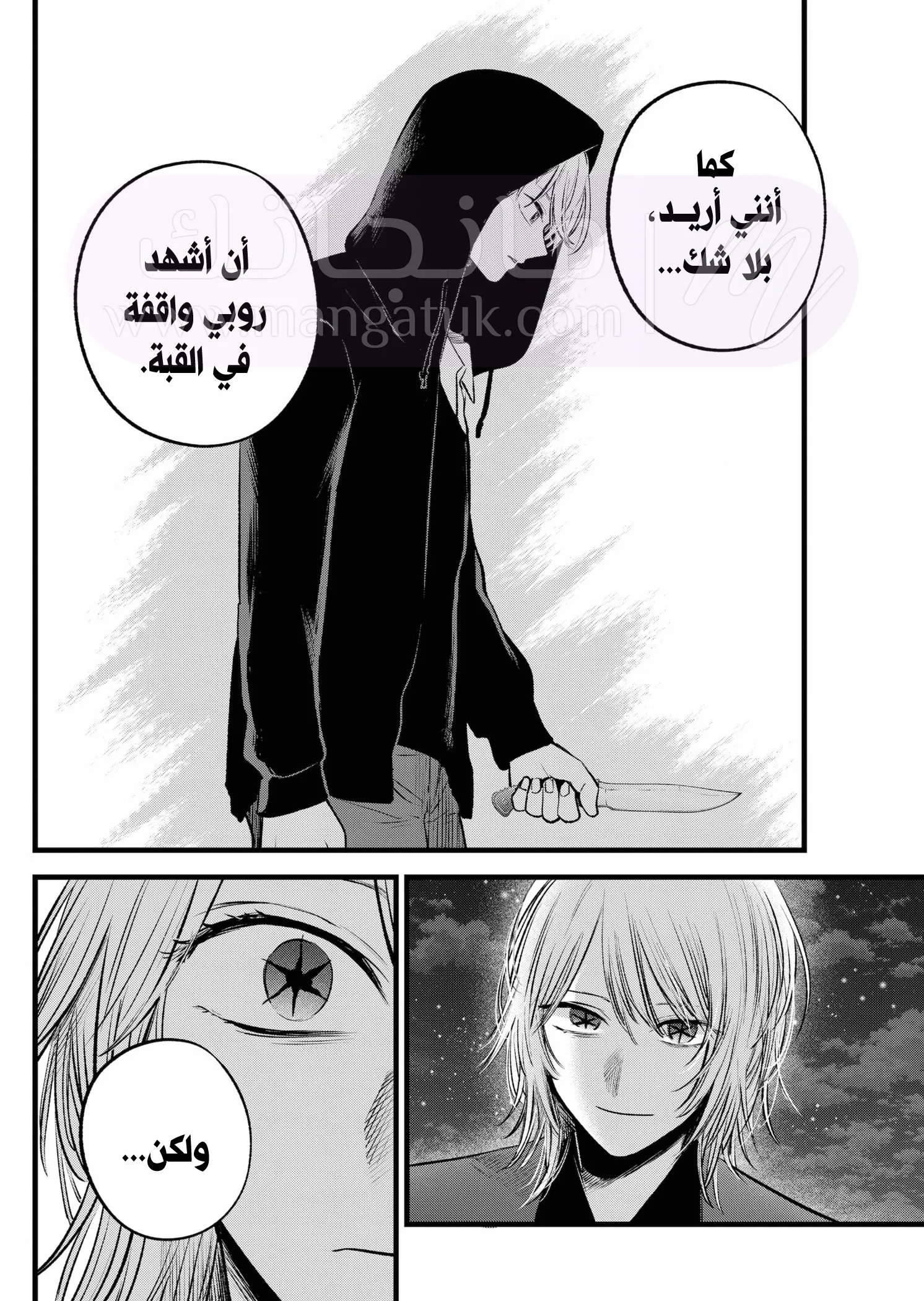 الصفحة 13