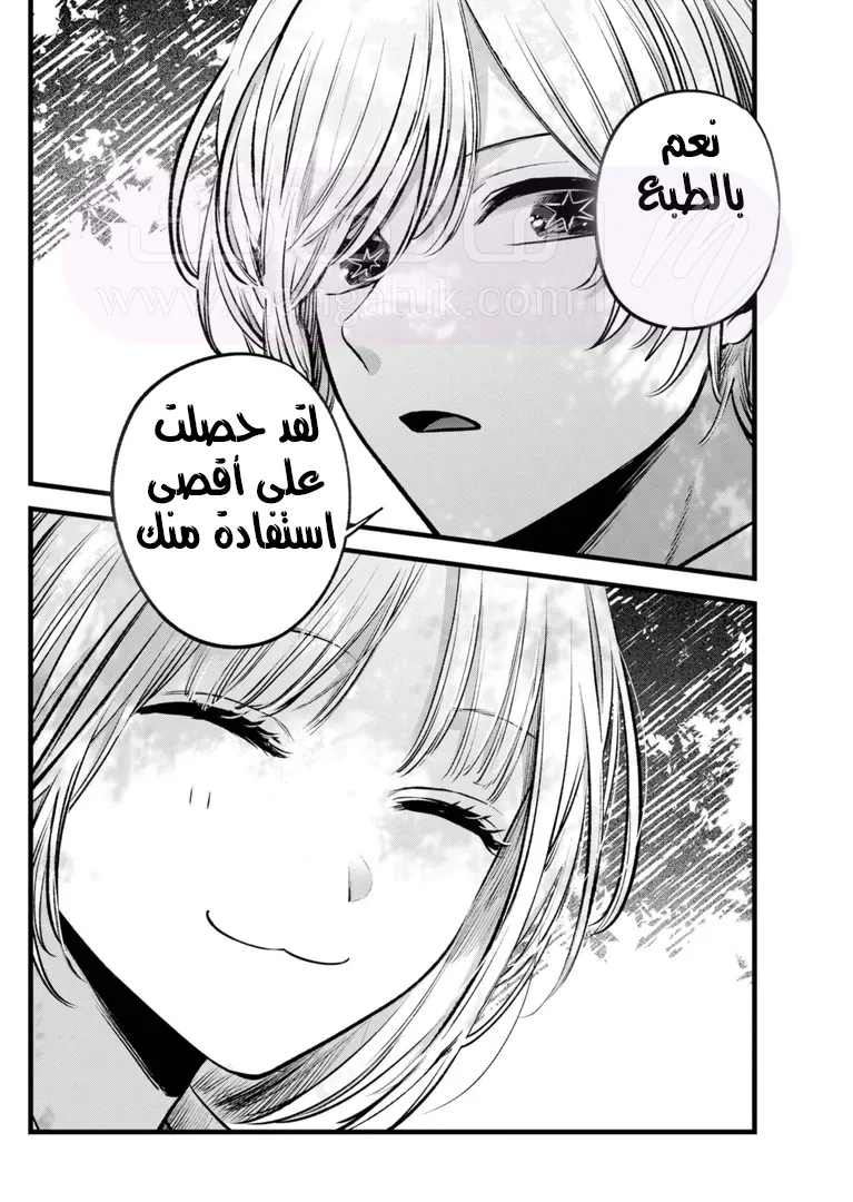 الصفحة 17