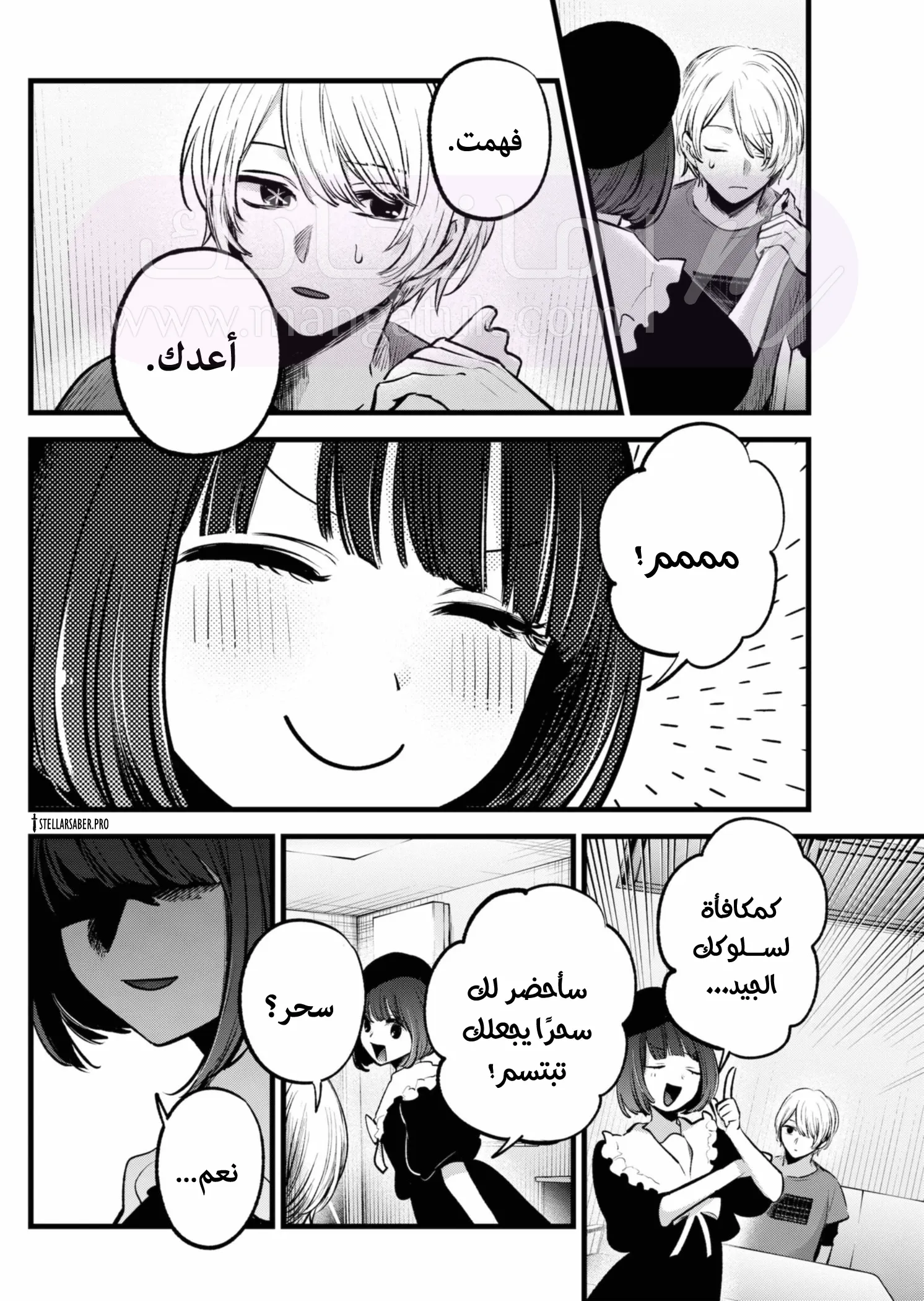 الصفحة 13