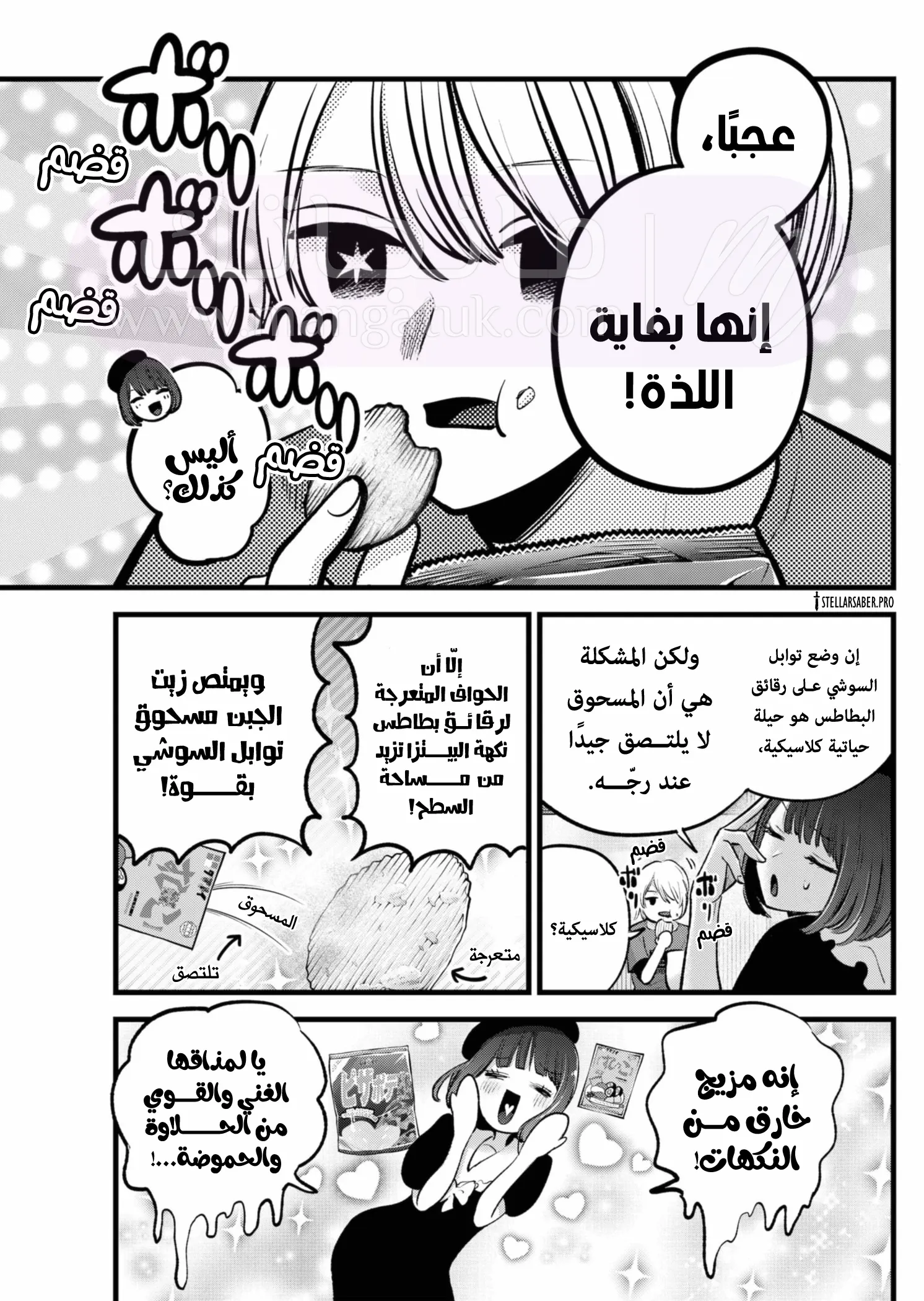 الصفحة 16