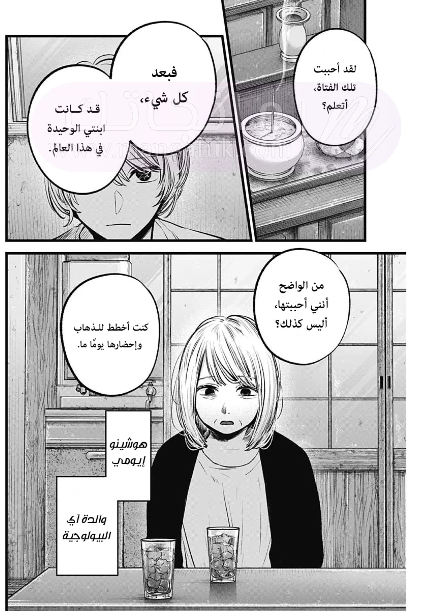 الصفحة 13