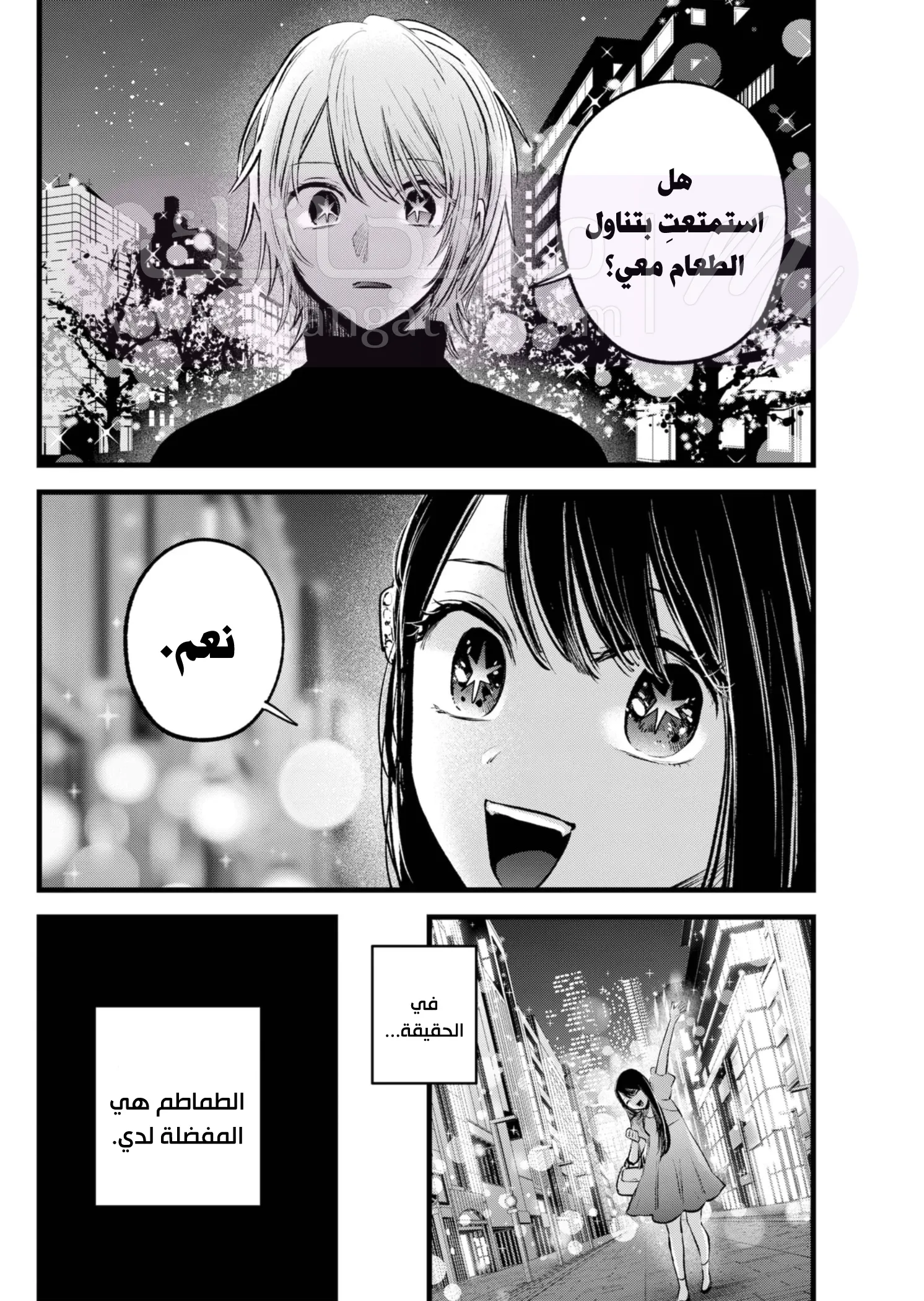 الصفحة 13