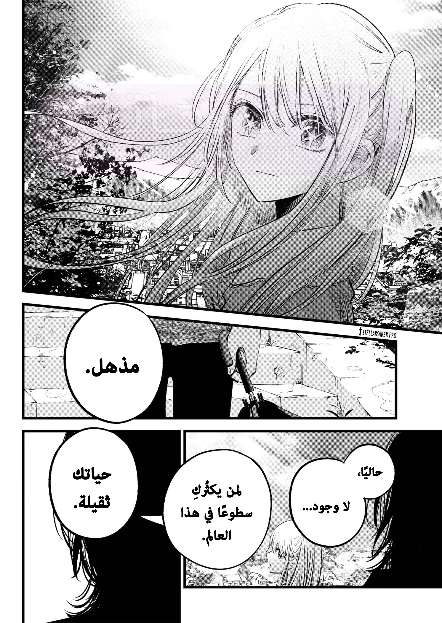 الصفحة 13