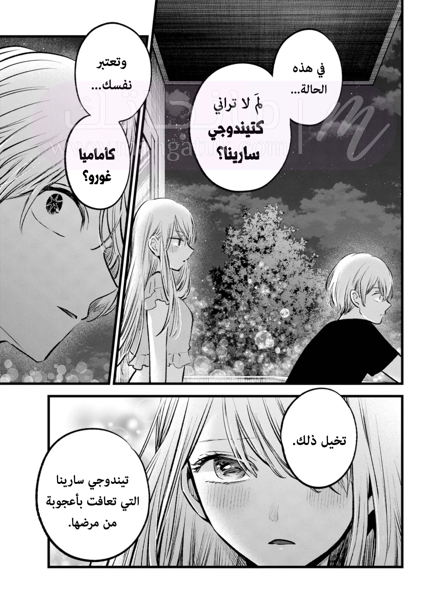 الصفحة 17