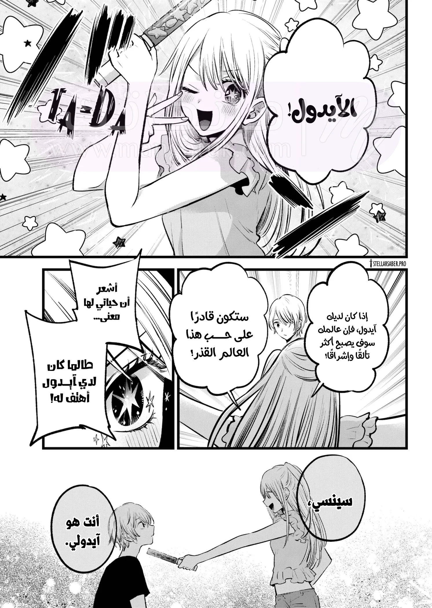 الصفحة 13