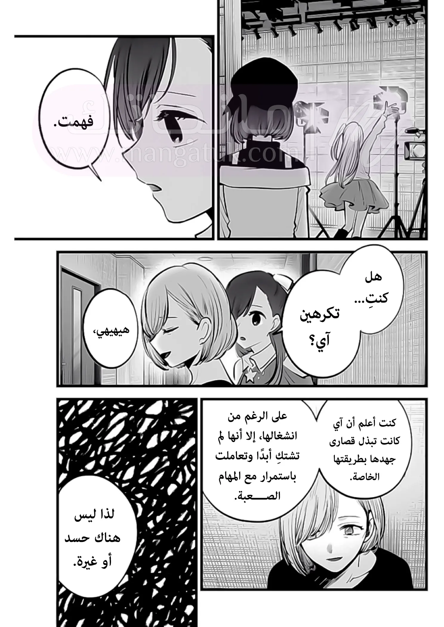 الصفحة 13
