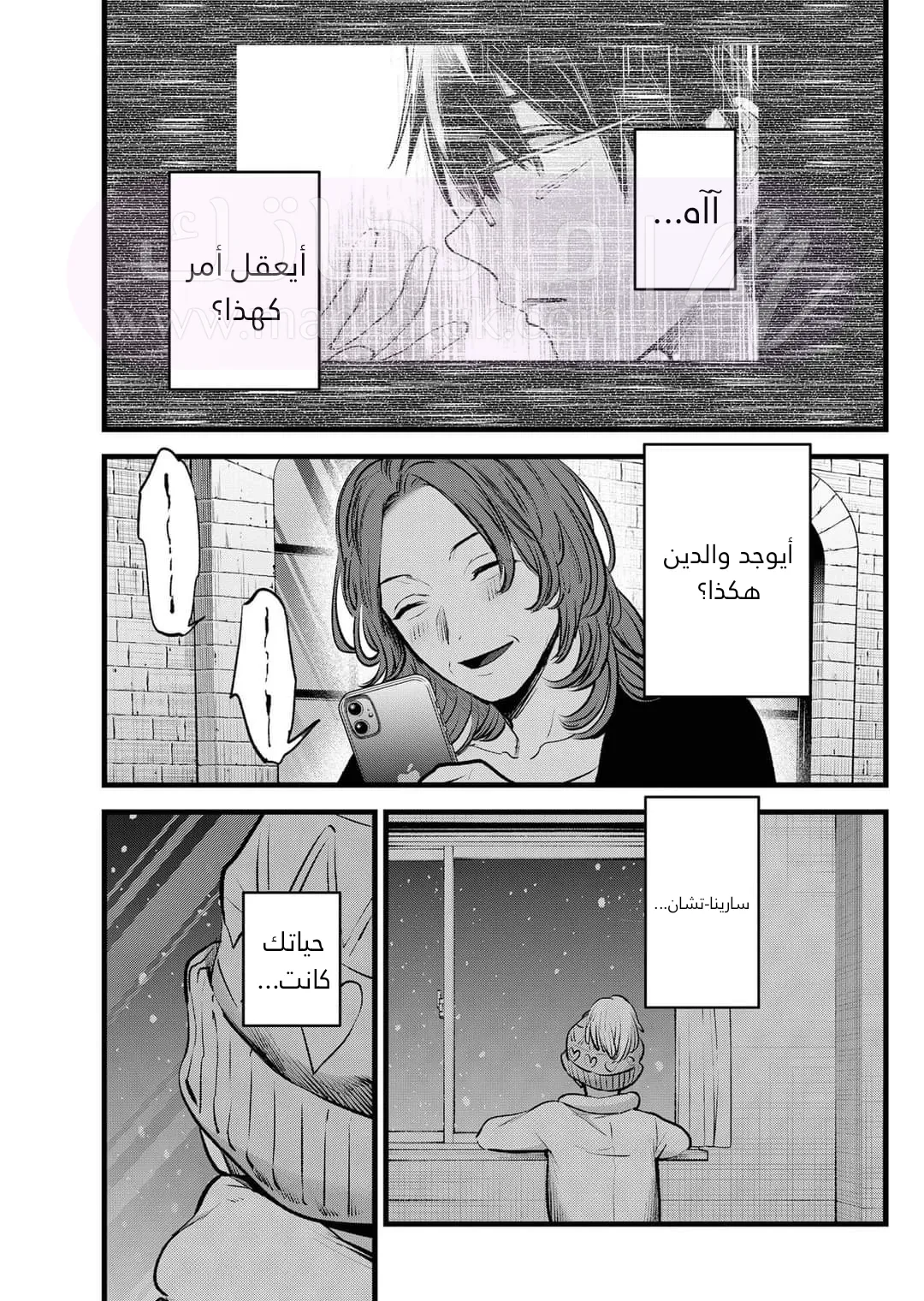الصفحة 13