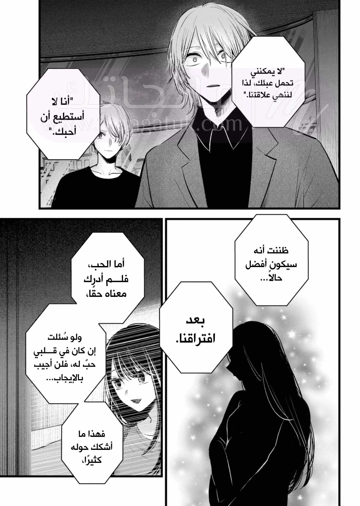 الصفحة 13