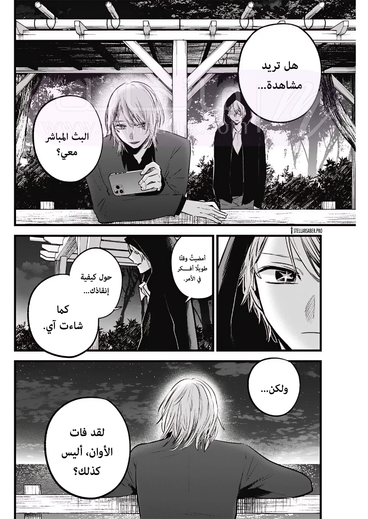 الصفحة 17