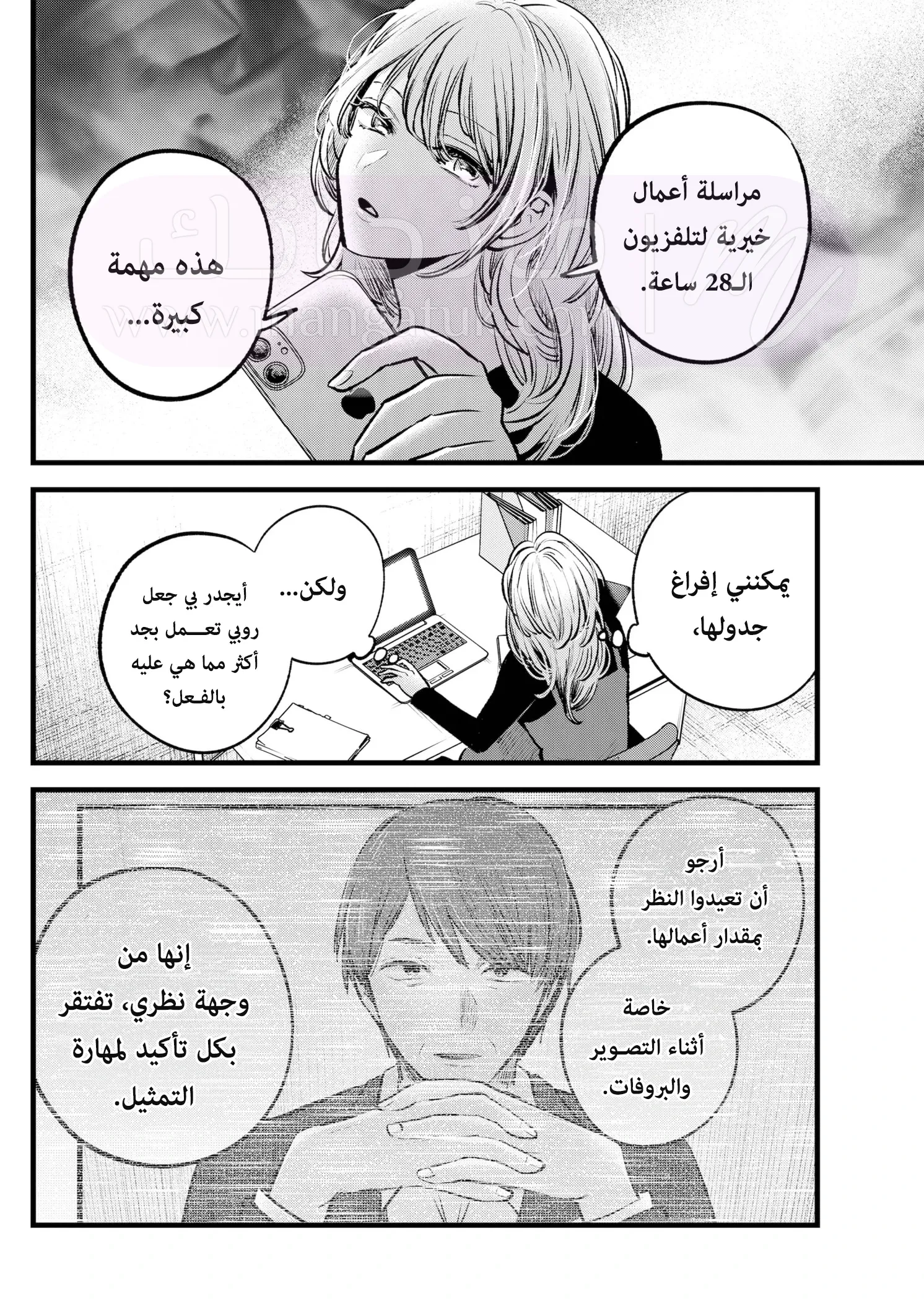 الصفحة 13