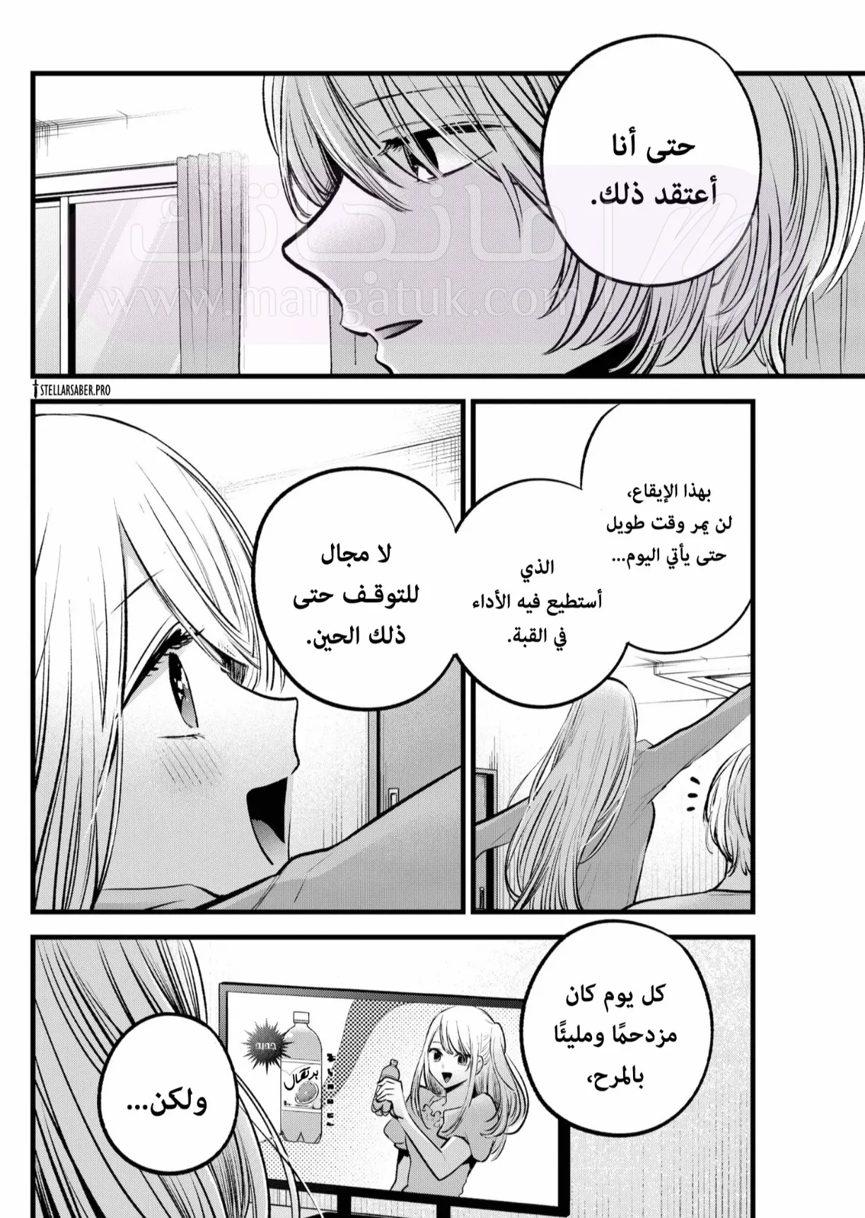 الصفحة 13