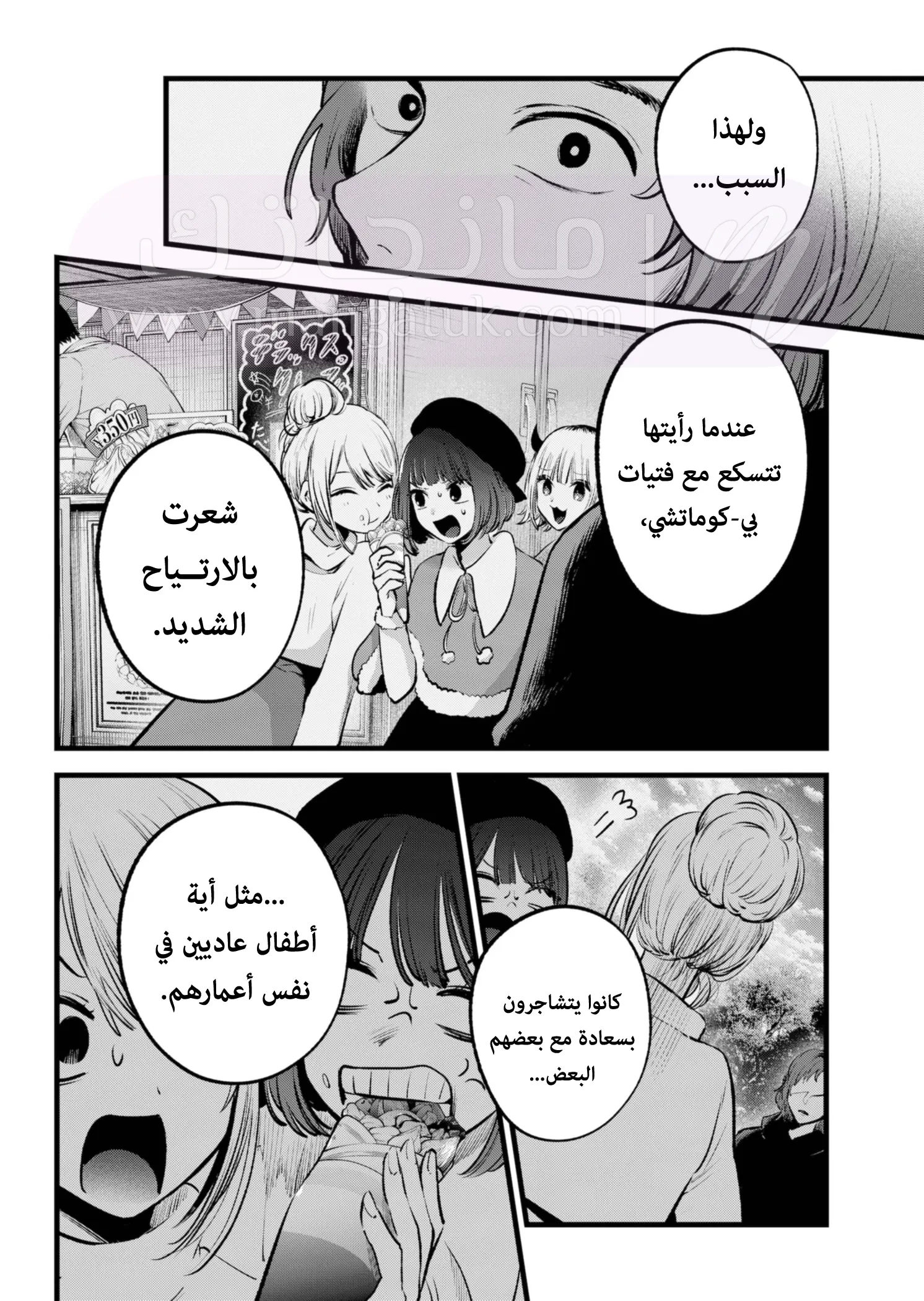 الصفحة 13