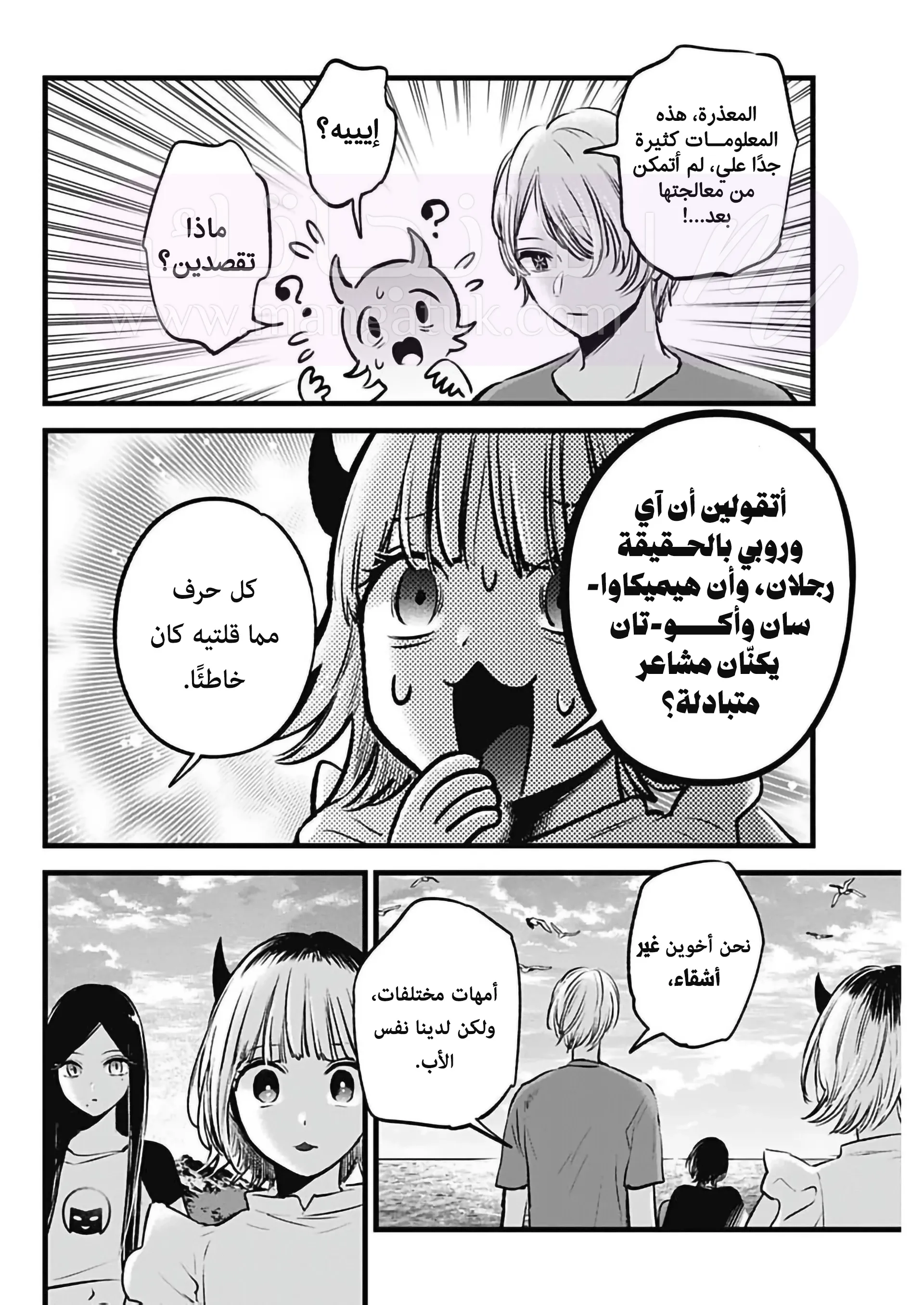 الصفحة 13