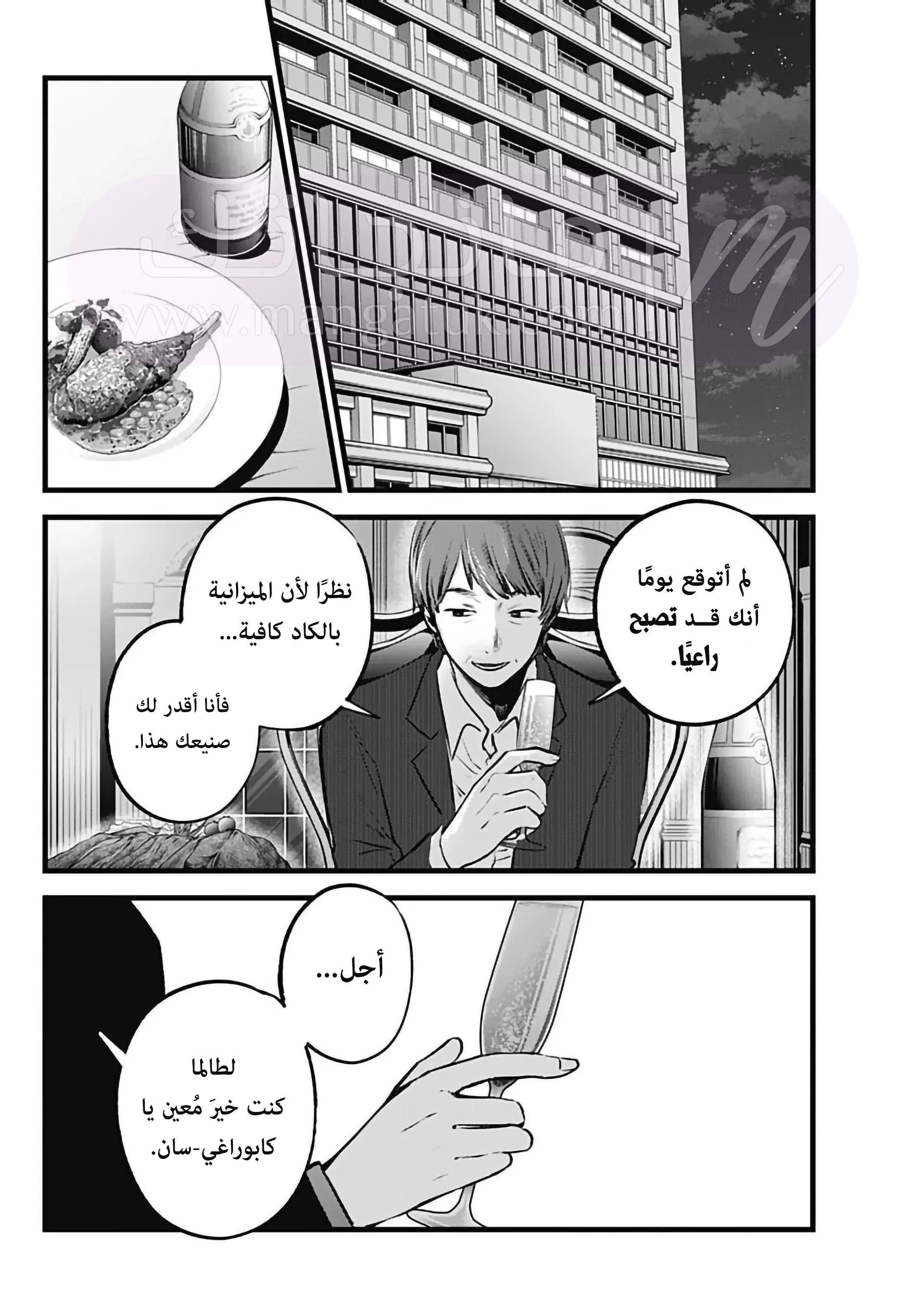 الصفحة 17
