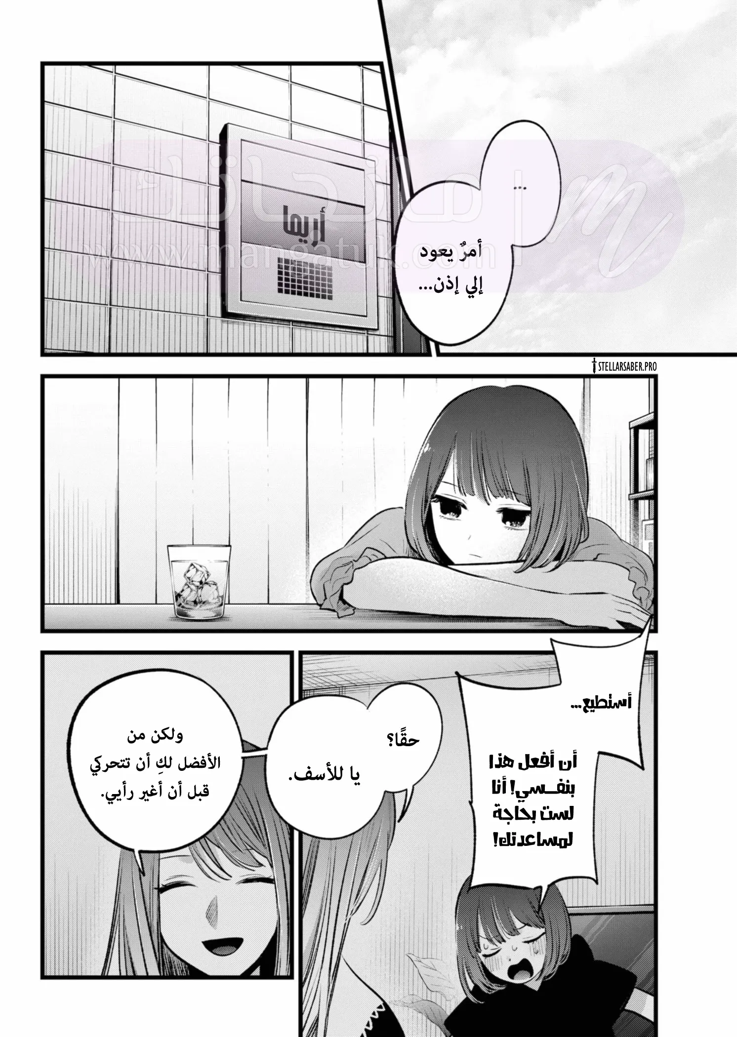 الصفحة 13
