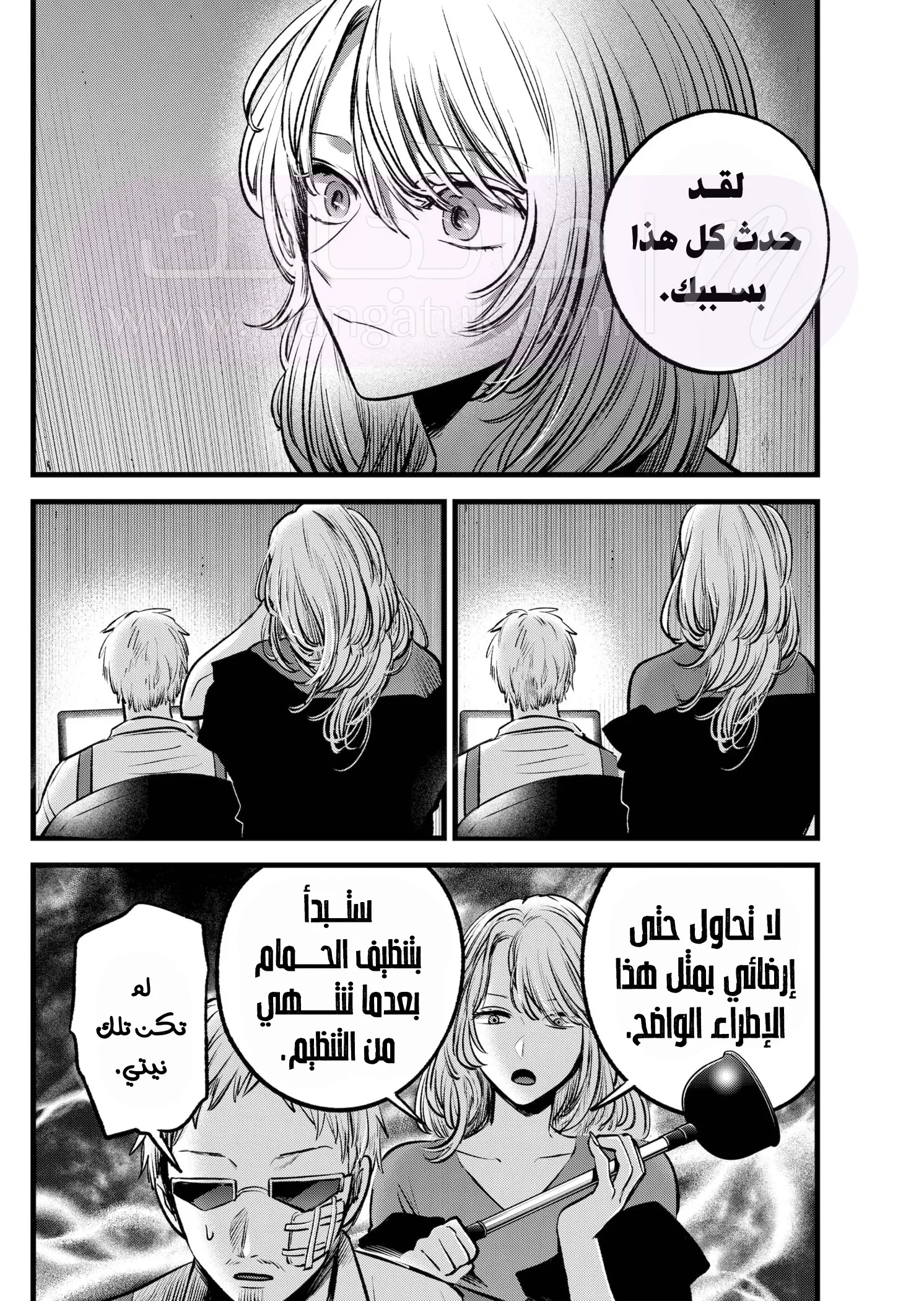 الصفحة 17