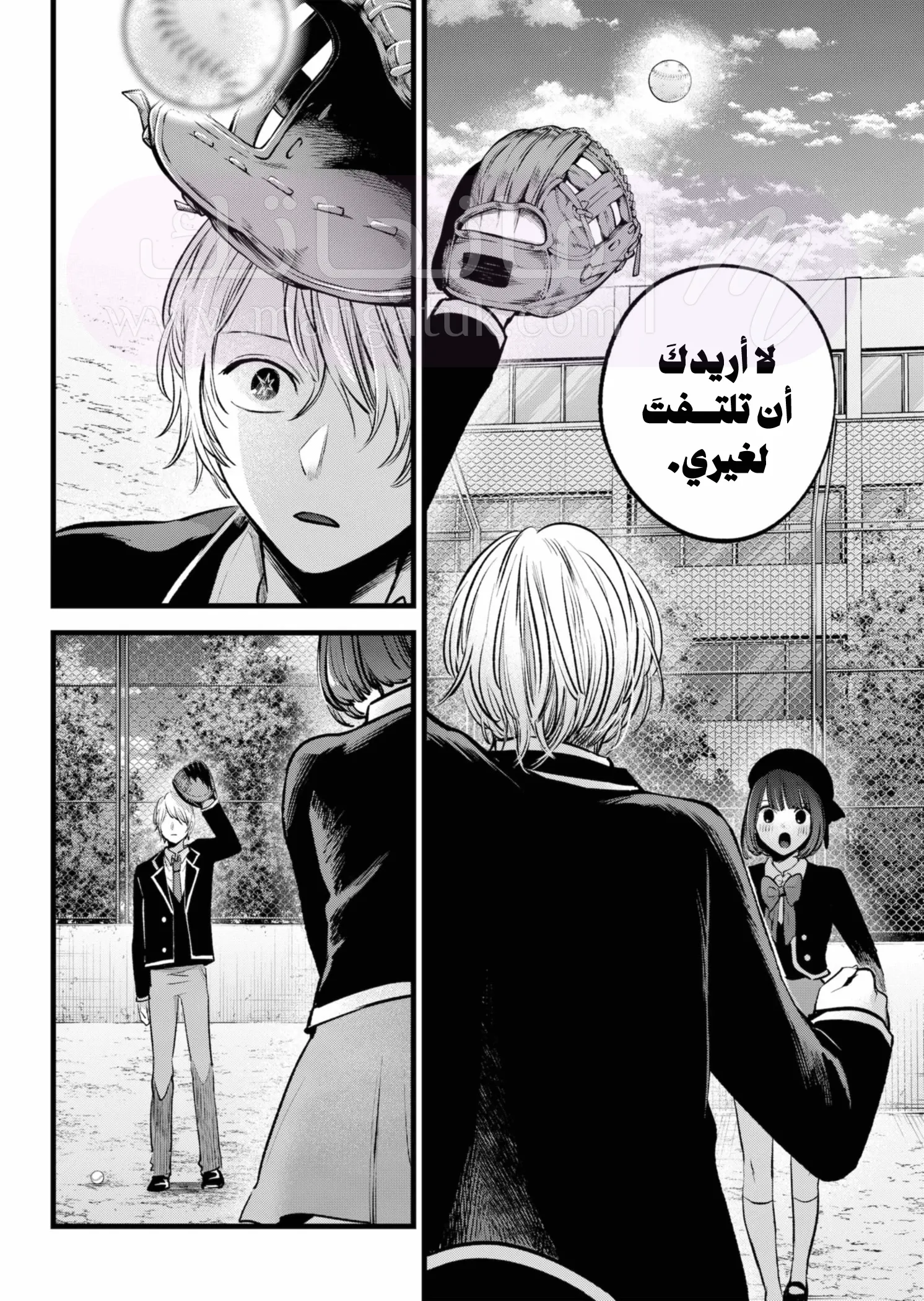 الصفحة 17